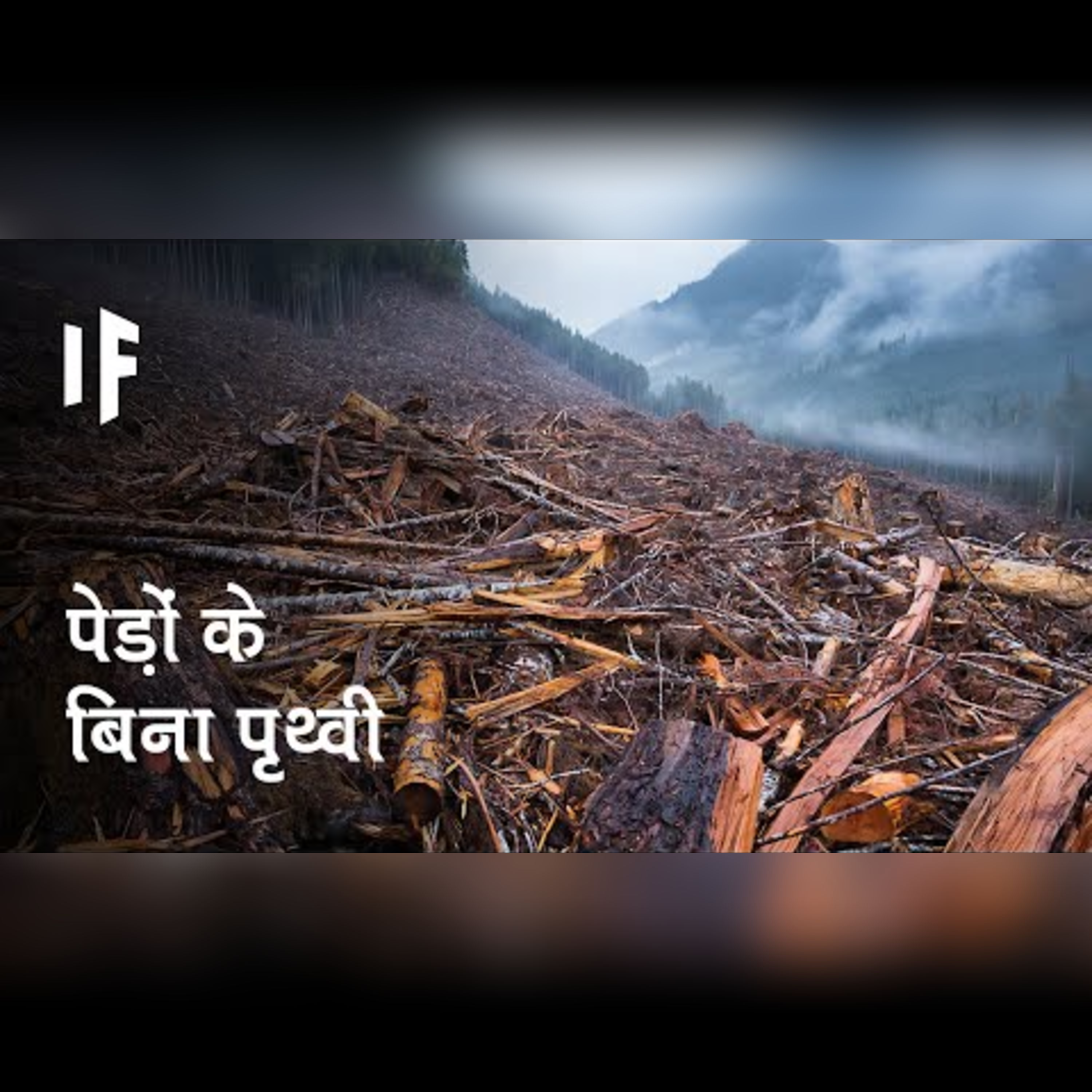 क्या हो अगर दुनिया के सारे पेड़ काट दिए जाएं | What If All Trees Were Cut Down? episode artwork