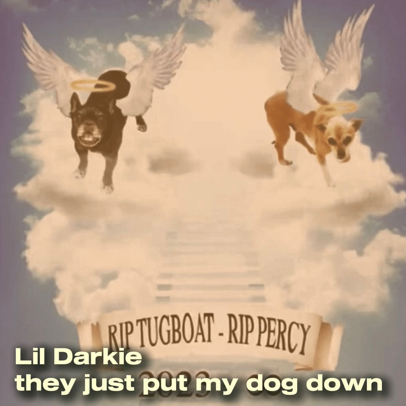 Lil Darkie - they just put my dog down (RIP TUGBOAT RIP PERCY) episode artwork