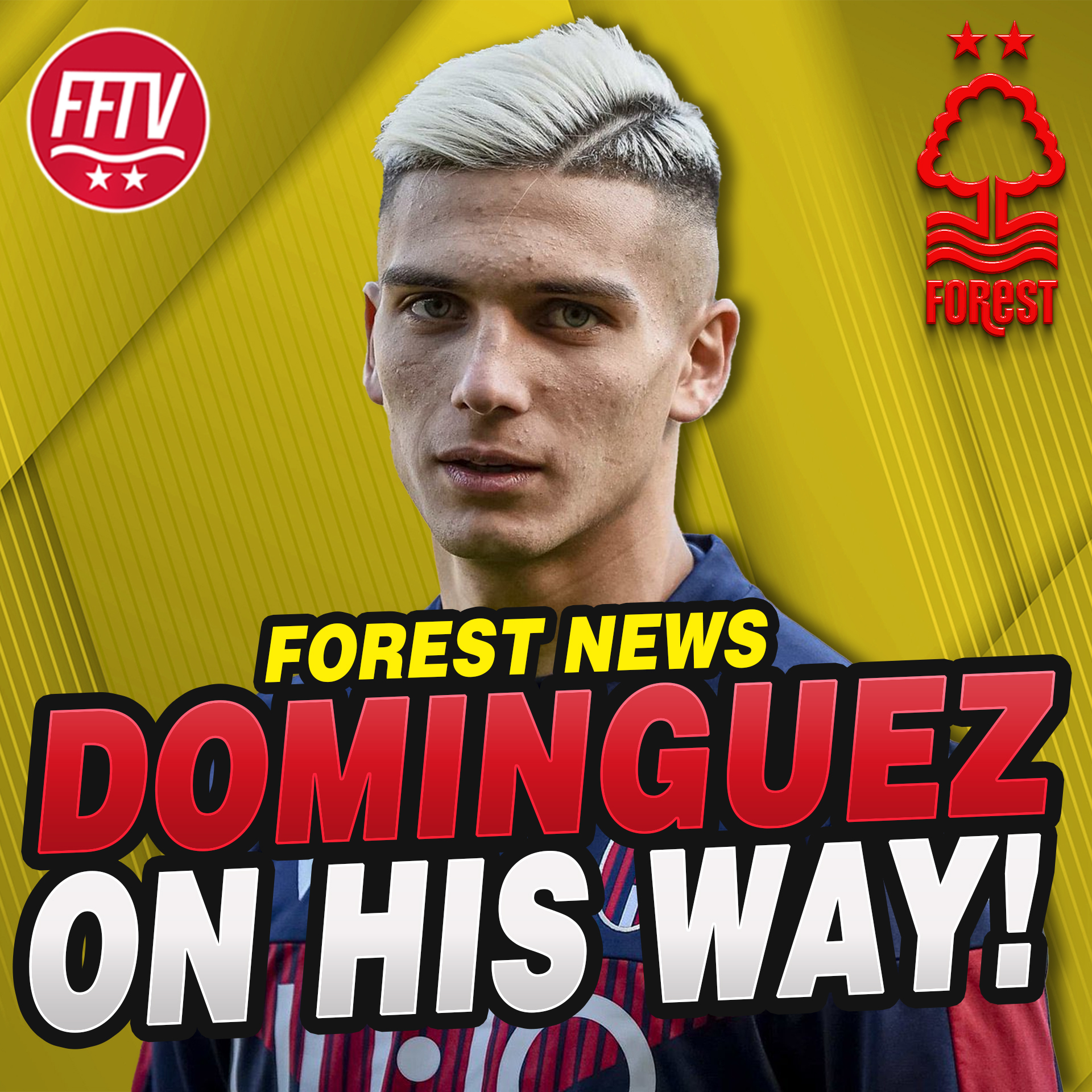 Forest Fan TV - A Nottingham Forest Podcast