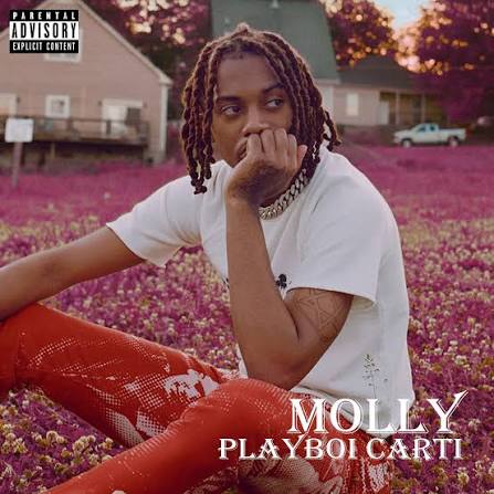 MOLLY - Playboi Carti episode artwork