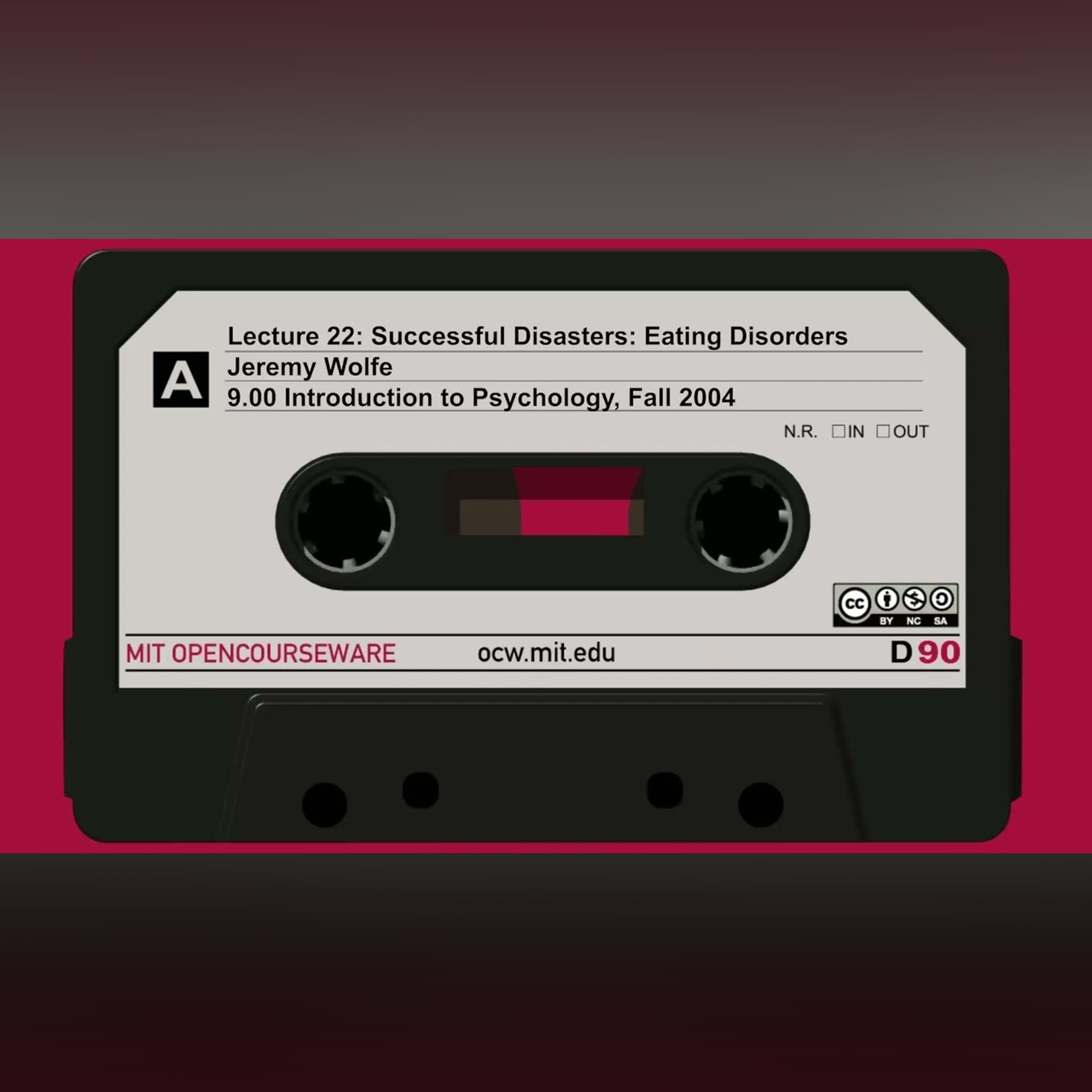 22. Successful Disasters: Eating Disorders (audio only)