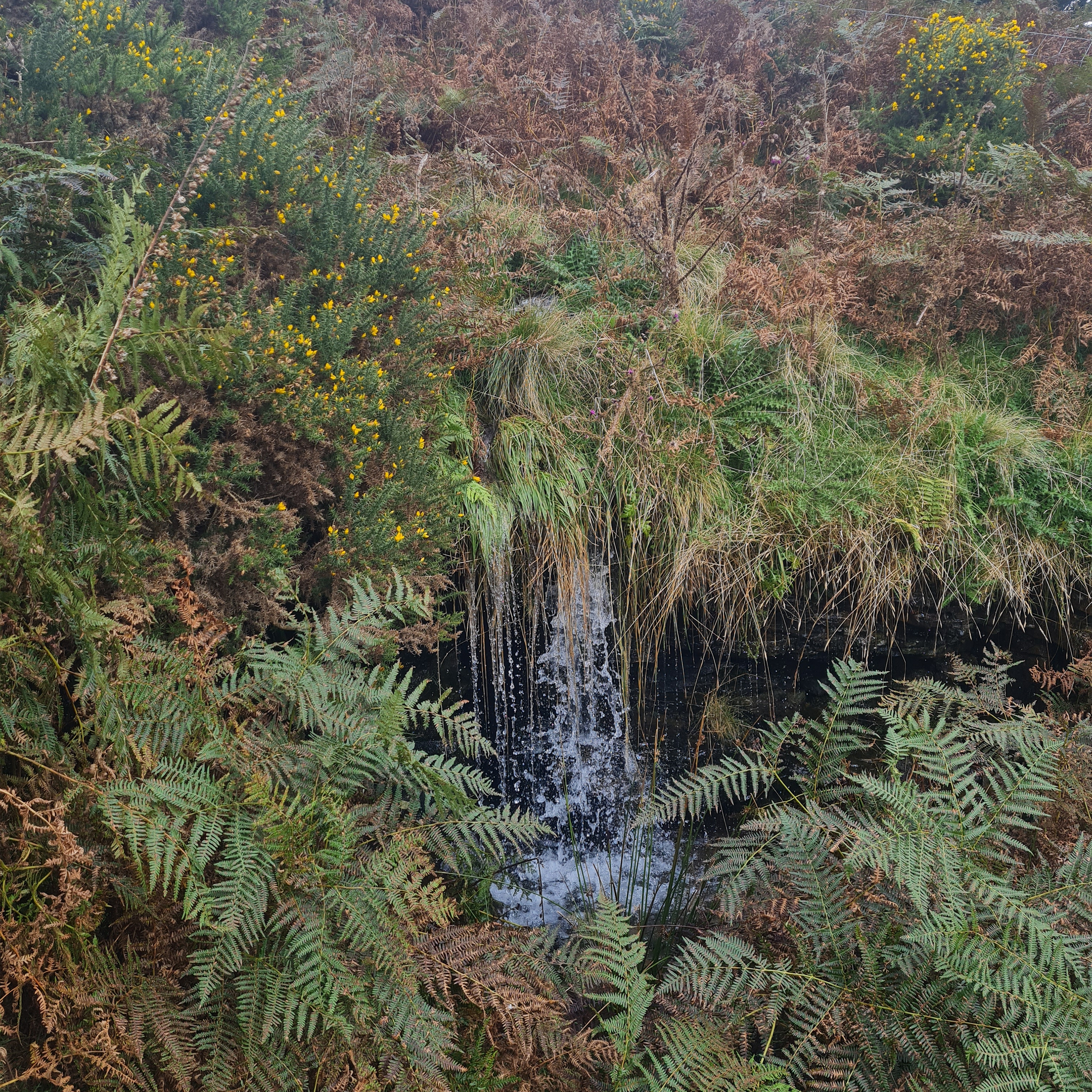 Sound Escape 193. Sit beside a waterfall in a once-bustling landscape reclaimed by nature