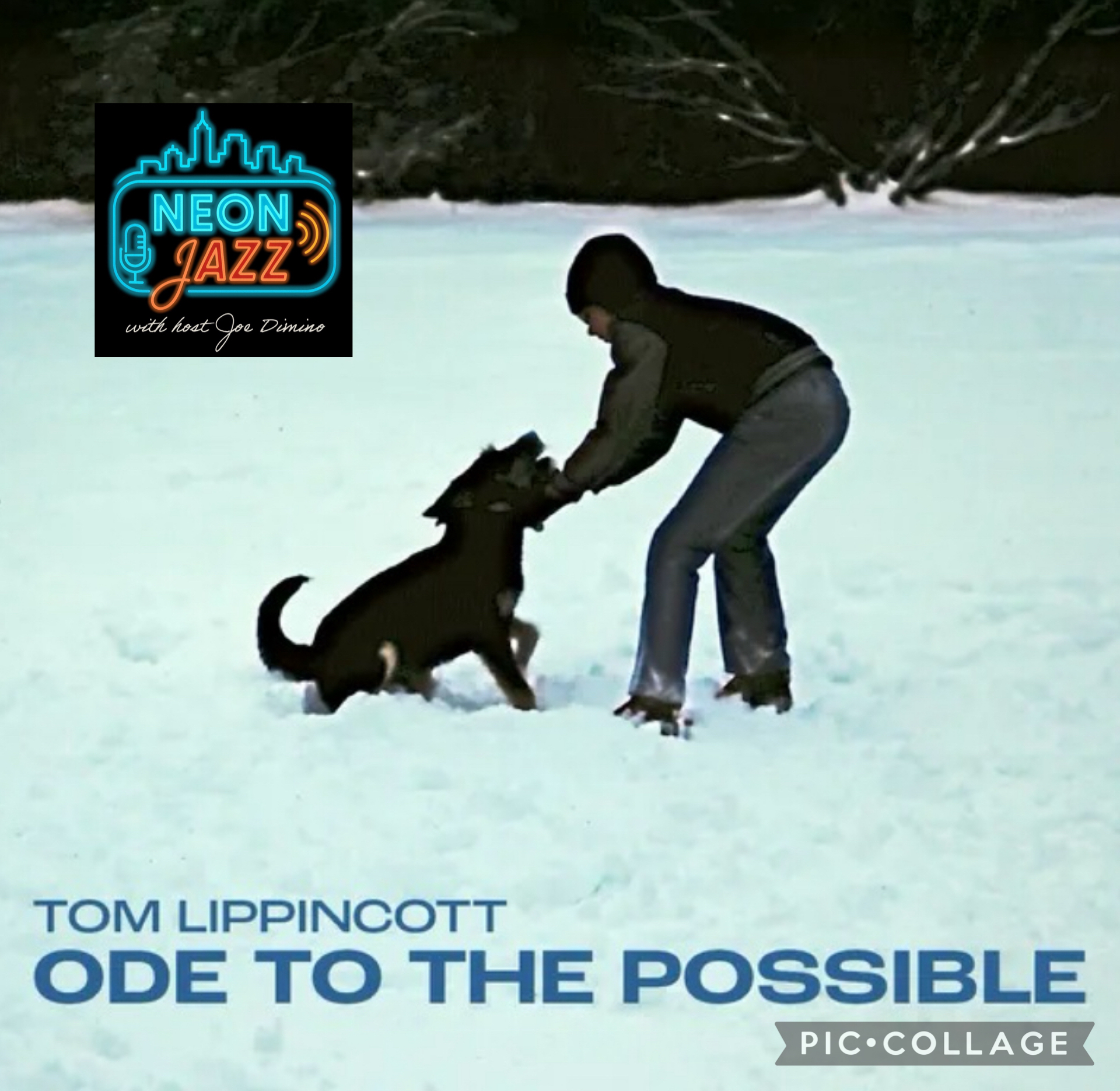 South Florida-based Jazz Guitarist Tom Lippincott