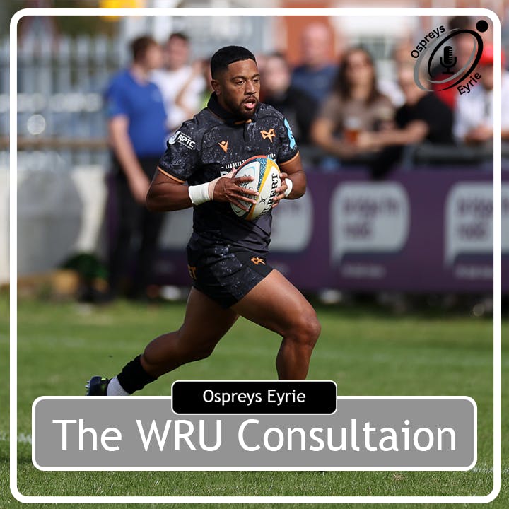 The Political Episode The Political Episode