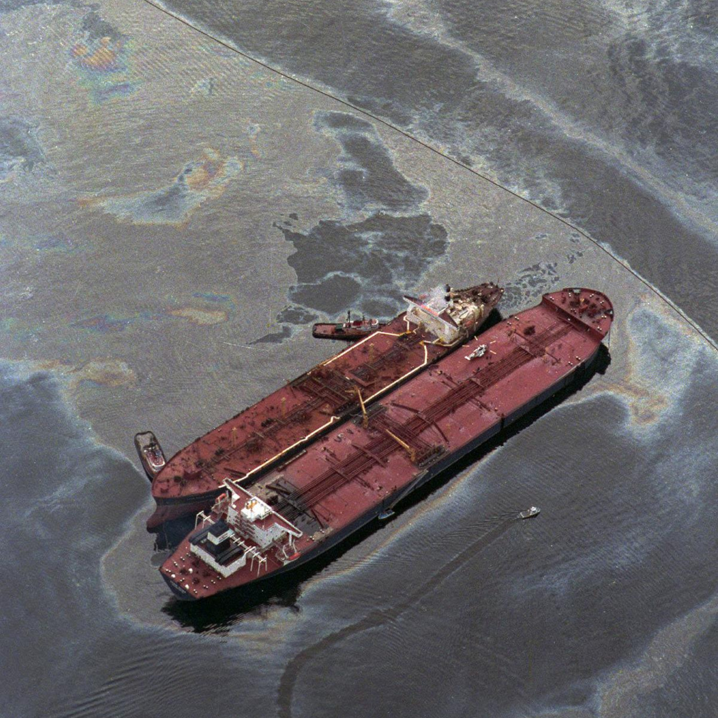 The Exxon Valdez Disaster