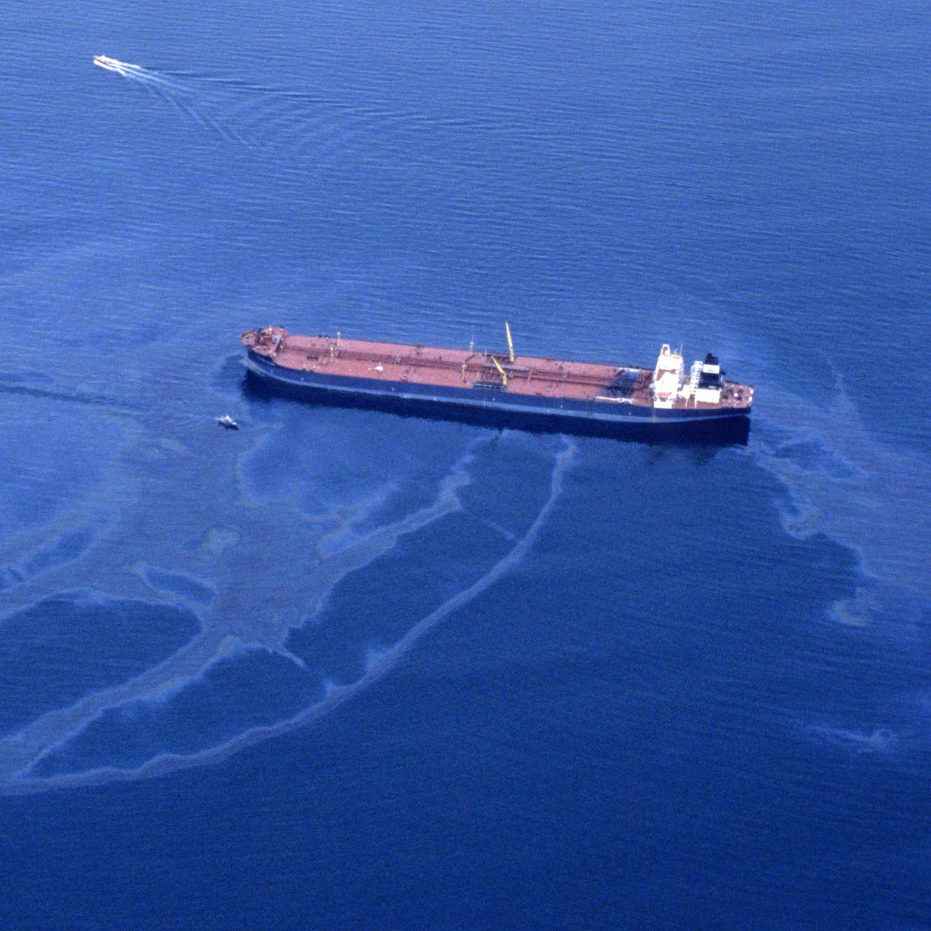 The Exxon Valdez Disaster The Exxon Valdez Disaster