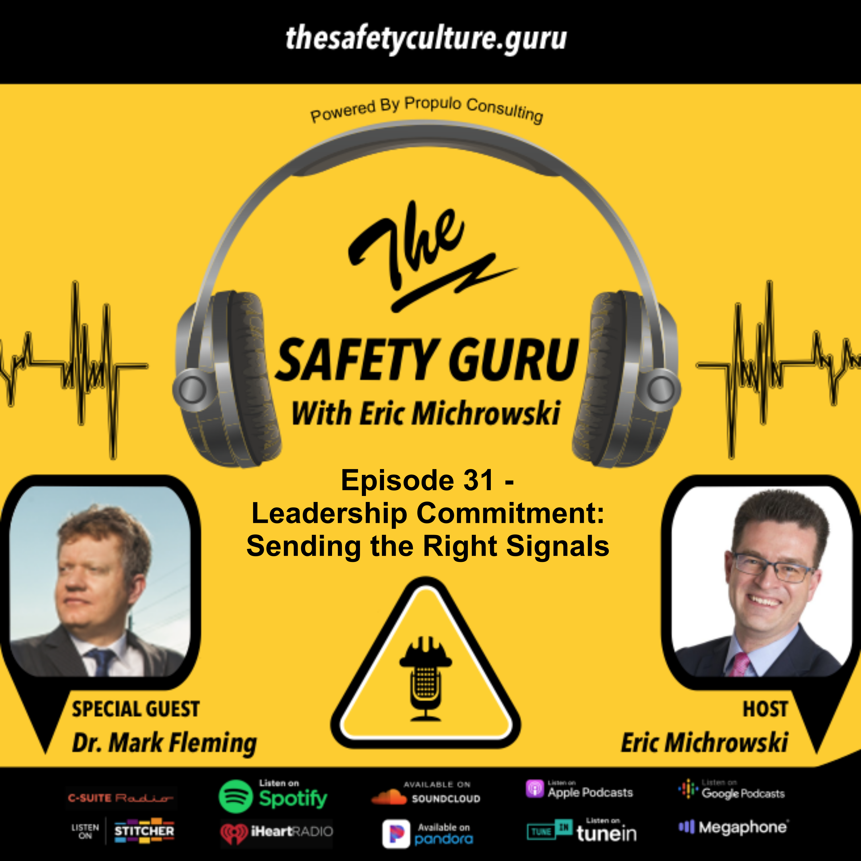 The Safety Guru