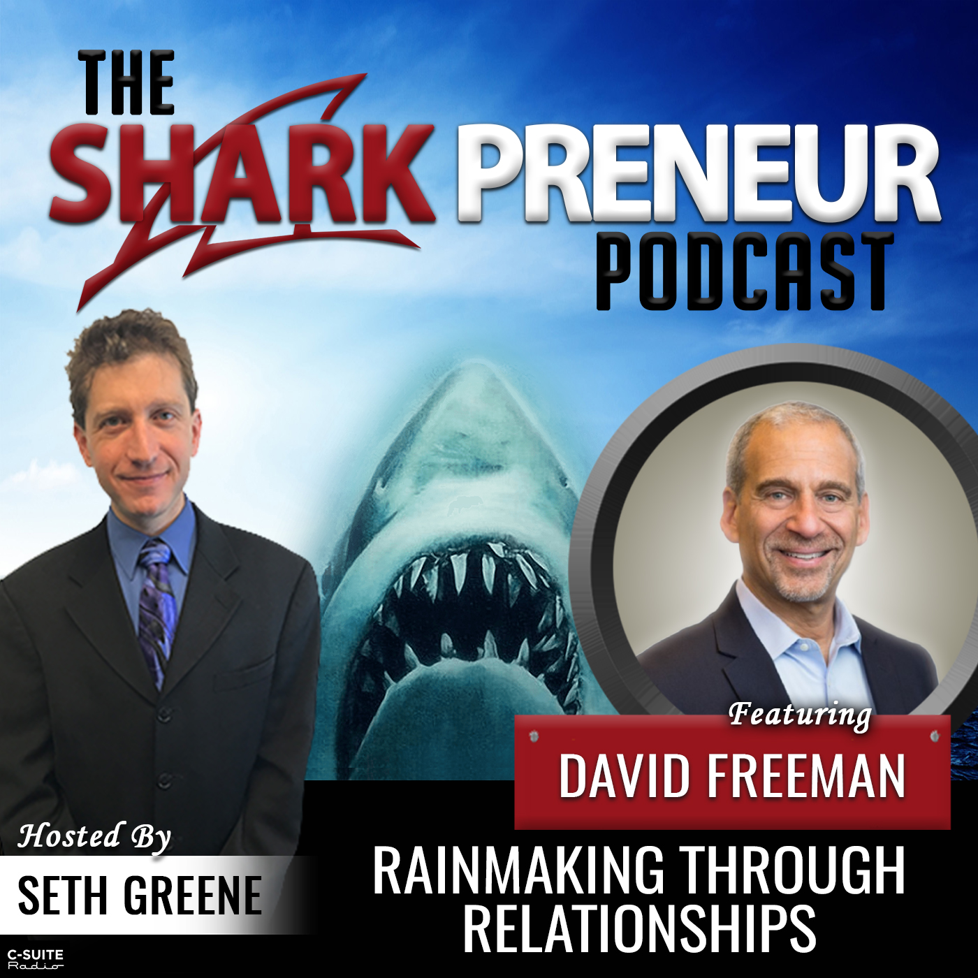 955: Rainmaking Through Relationships with David Freeman