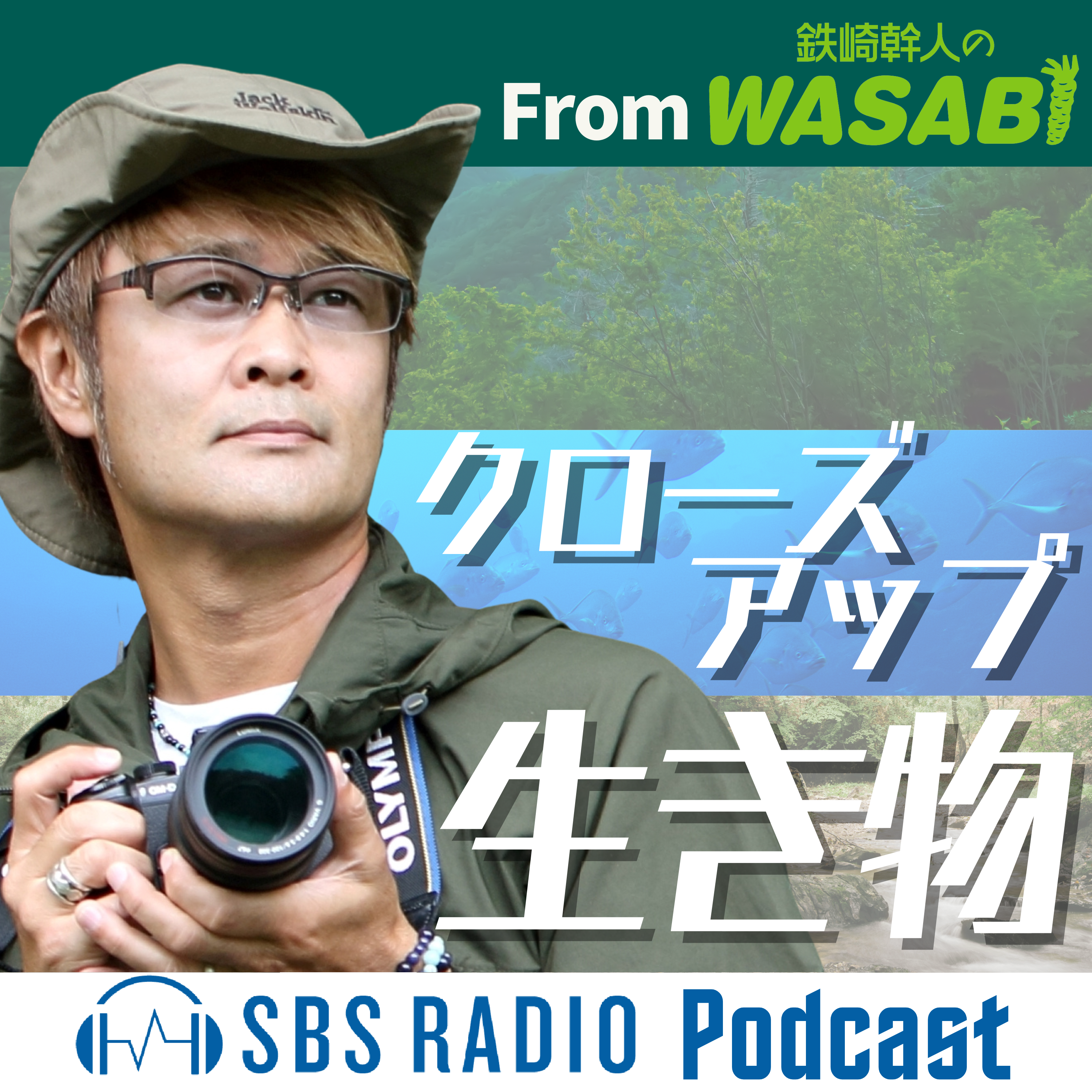 １１月２０日（月）クローズアップ生き物「ドングリで遊ぼう」 episode artwork