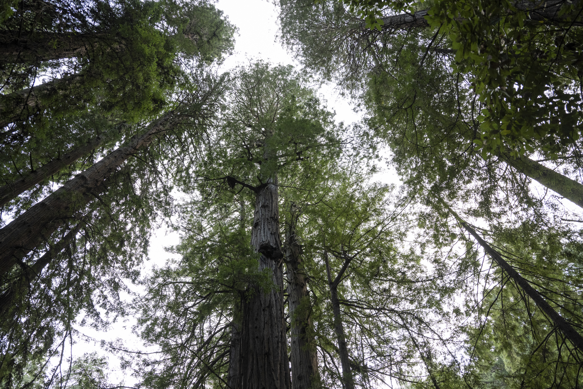 Using Nature to Steer Teens Away From Violence episode artwork