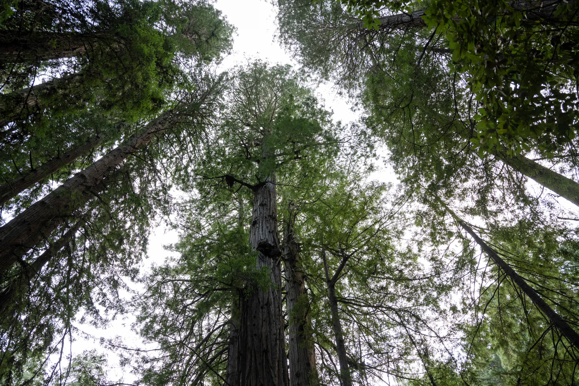 Using Nature to Steer Teens Away From Violence episode artwork