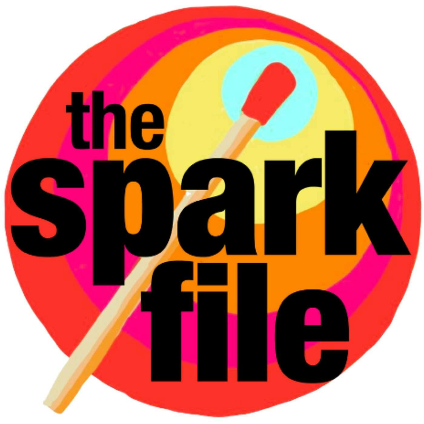 The Spark File with Susan Blackwell and Laura Camien Artwork