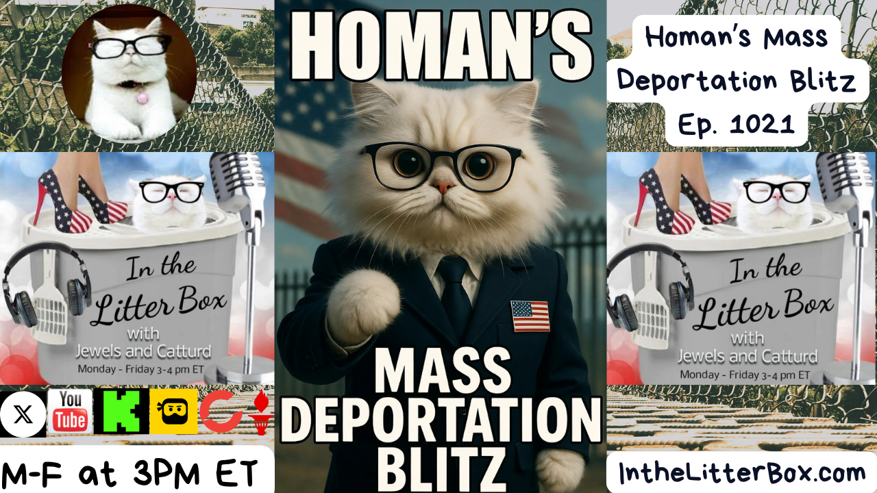 Homan's Mass Deportation Blitz | In the Litter Box w/ Jewels Jones & Catturd – Ep. 1021 5/8/2026