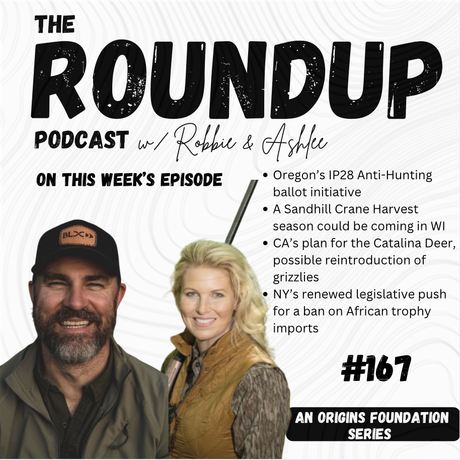 Roundup 167 || Oregon’s IP28, Sandhill Cranes in WI, CA’s Catalina Deer, NY’s African Trophy Ban and more!