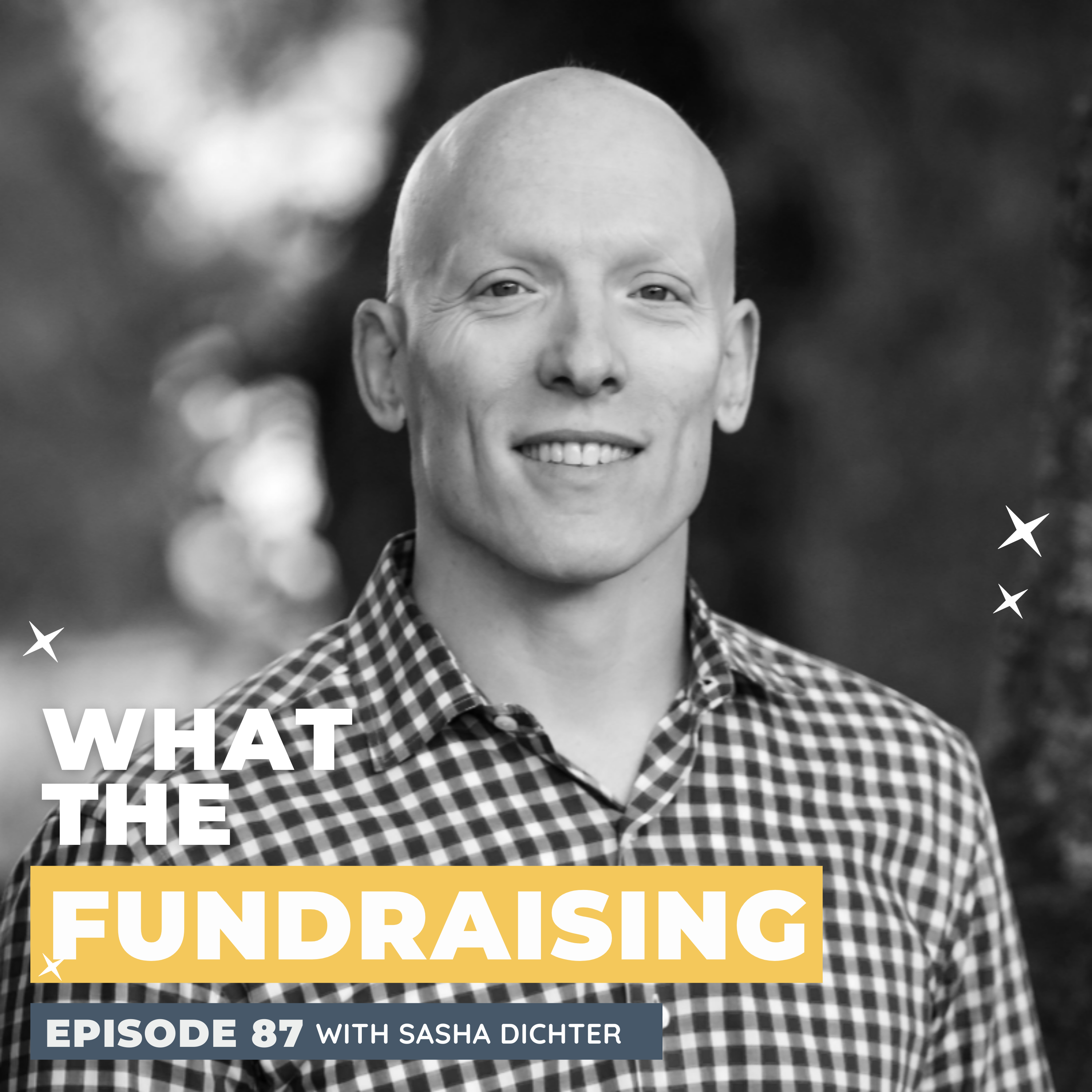 87. Measuring for Success: Alignment, Data, and Donor Confidence with Sasha Dichter episode artwork