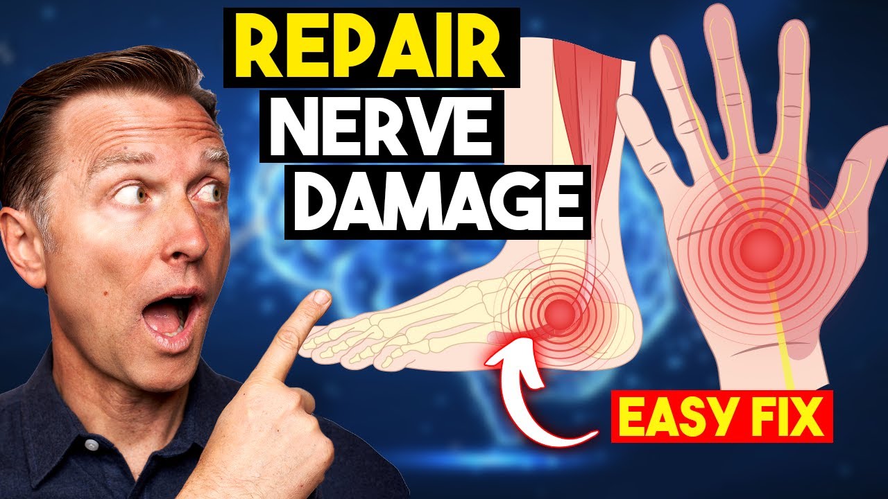 Research Reveals: This Repairs Nerve Damage episode artwork