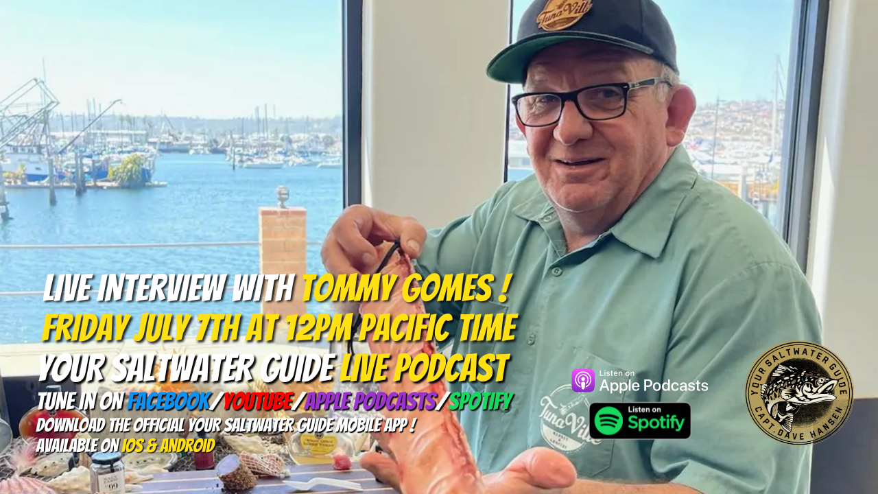 LIVE Podcast with Tommy Gomes (Tommy The Fishmonger ™) !