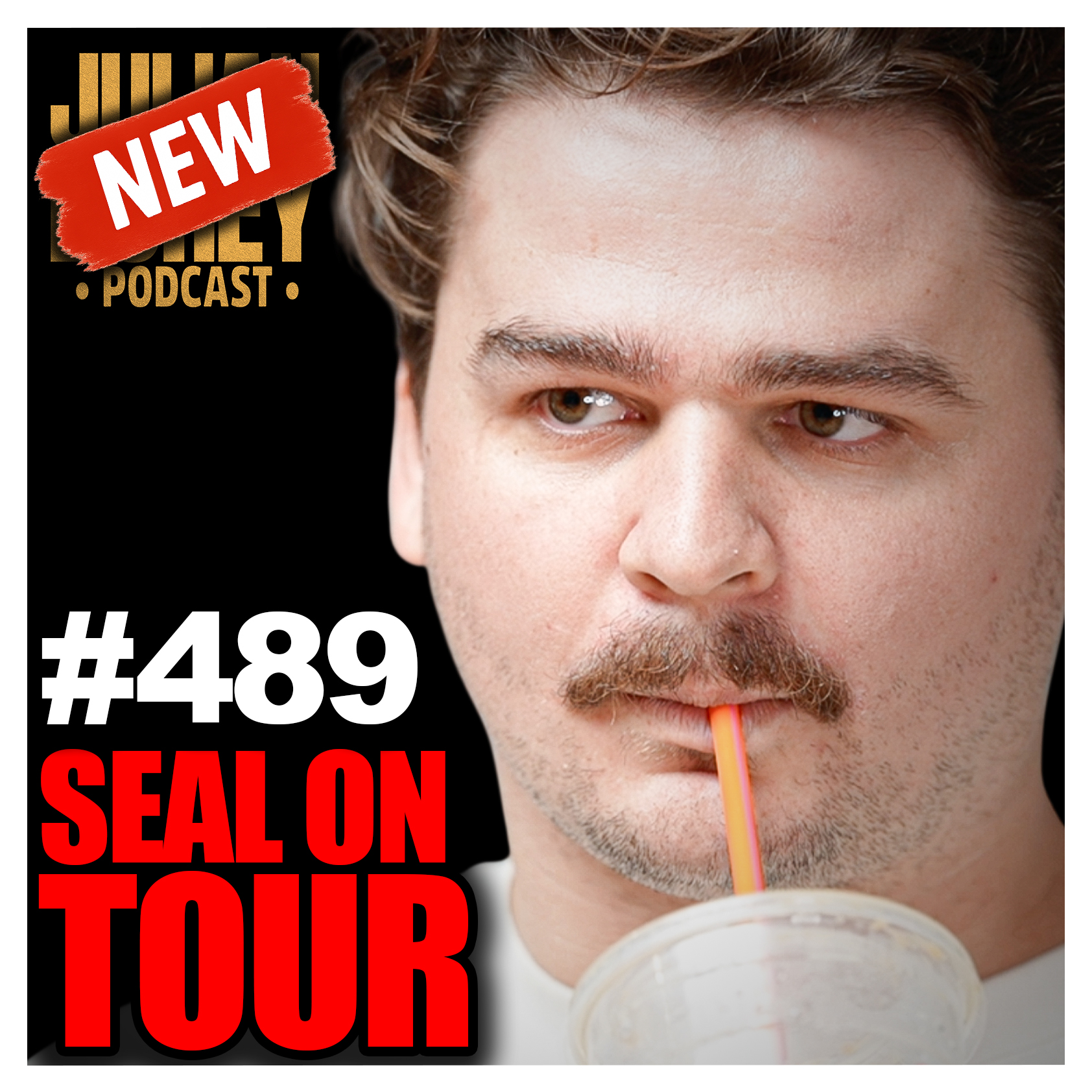 Cannibal Island, 24 Hours Inside Israel & Taliban Duck Boats | Seal on Tour episode artwork