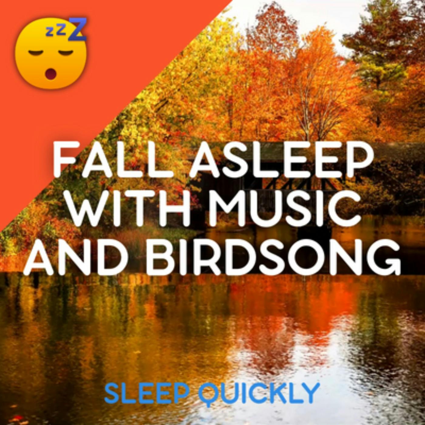 😴🍂🎵 Fall ASLEEP with MUSIC and BIRDSONG episode artwork