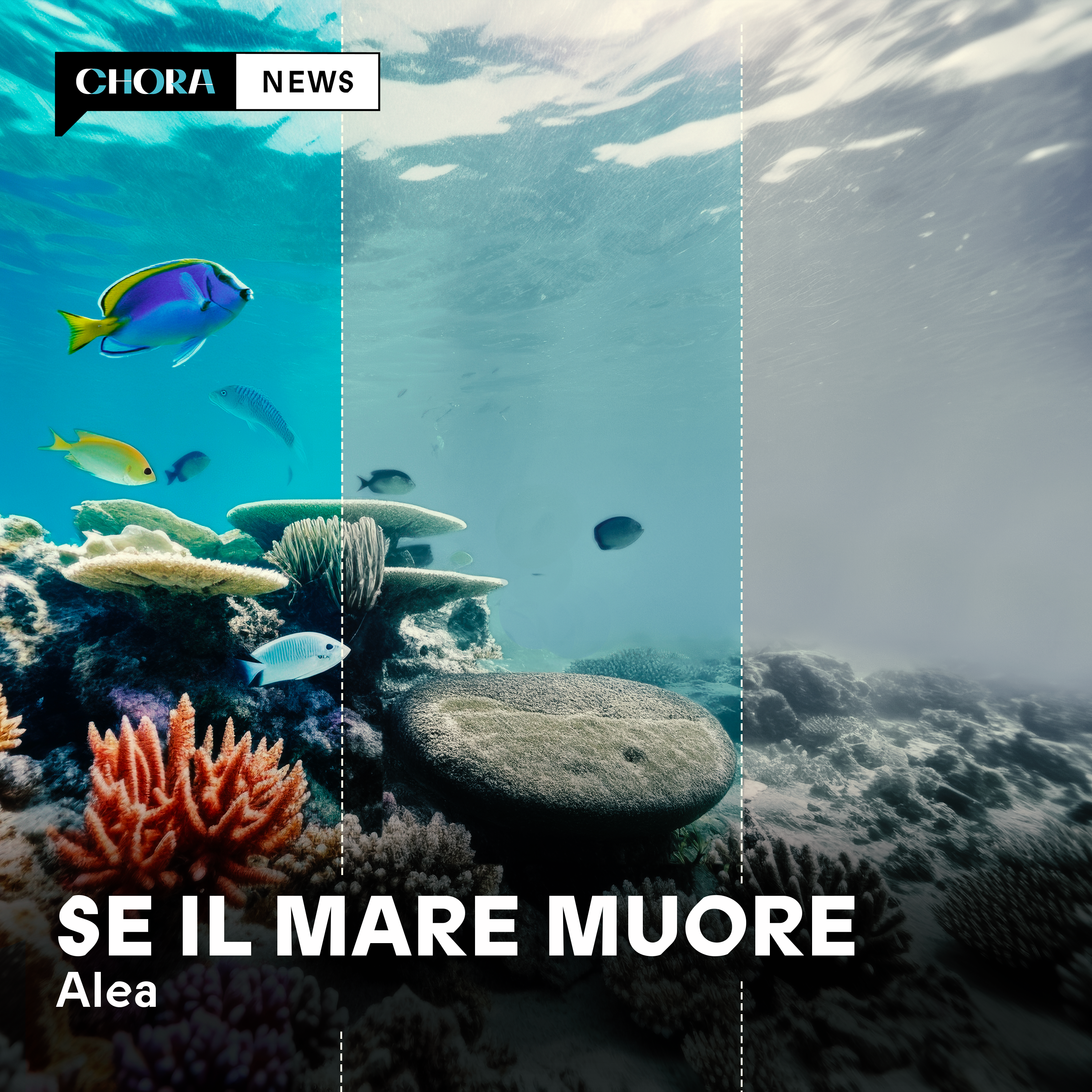 Se il mare muore