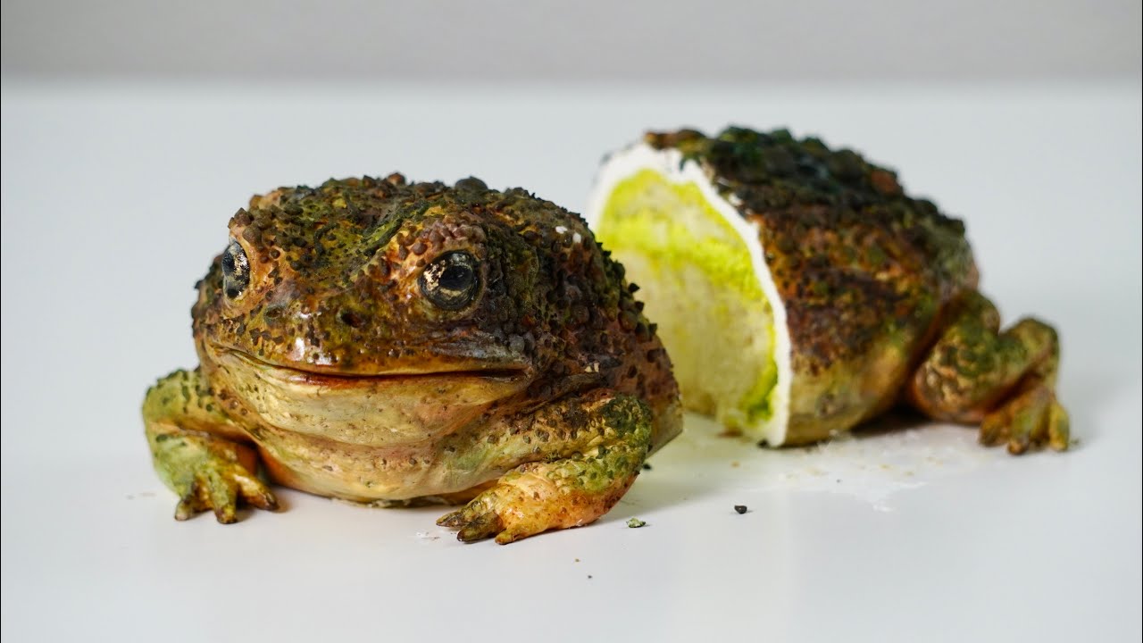 Making a REALISTIC Toad CAKE episode artwork