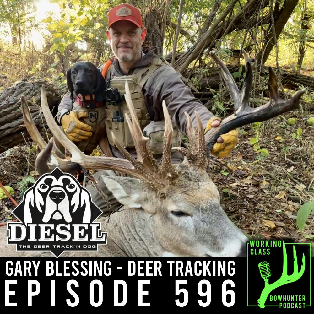 596 Gary Blessing - Deer Tracking