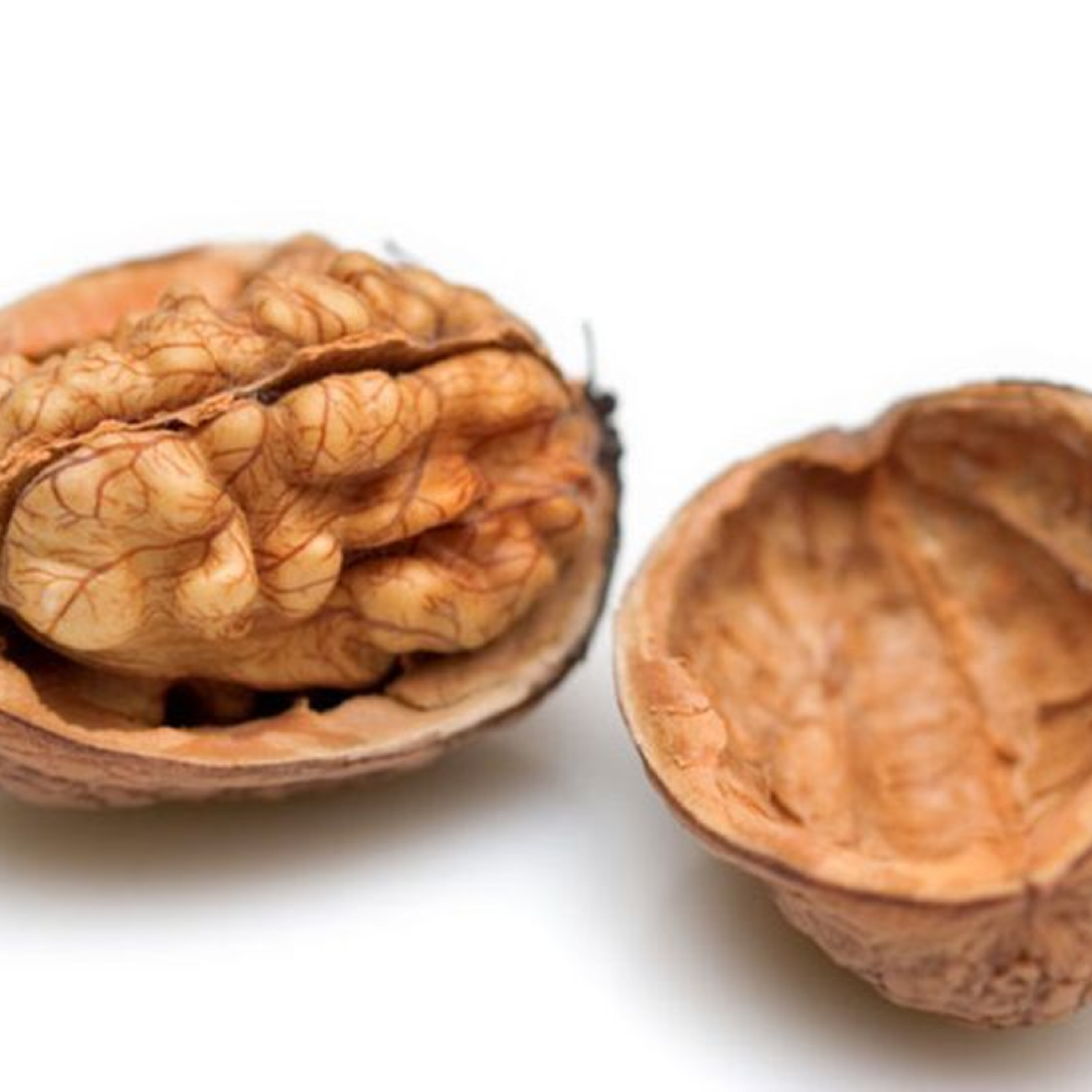 A New Contraceptive For Men And Kat Explains Why She Loves Nuts So Much