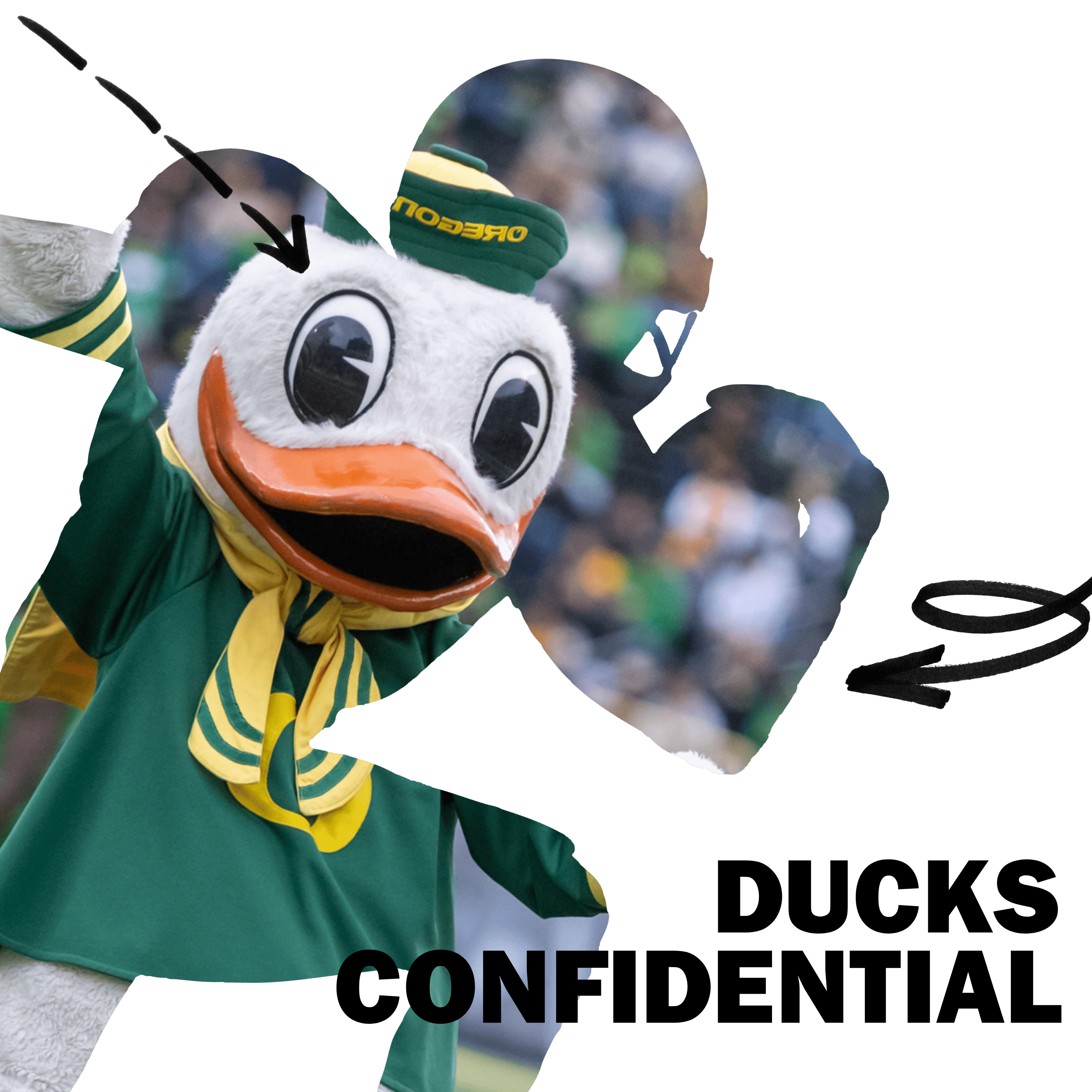 Ducks Confidential