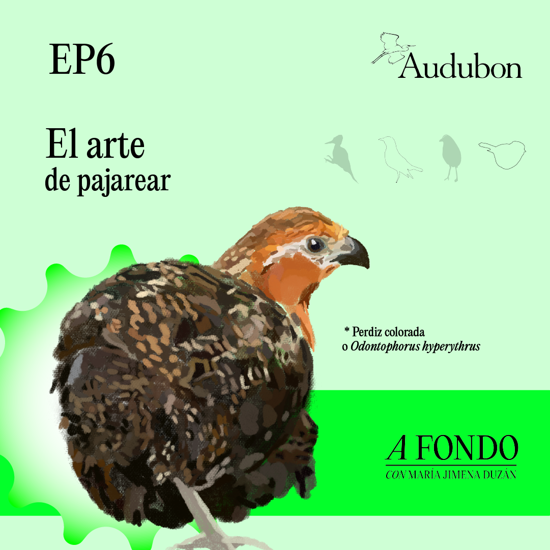 A Fondo Con María Jimena Duzán