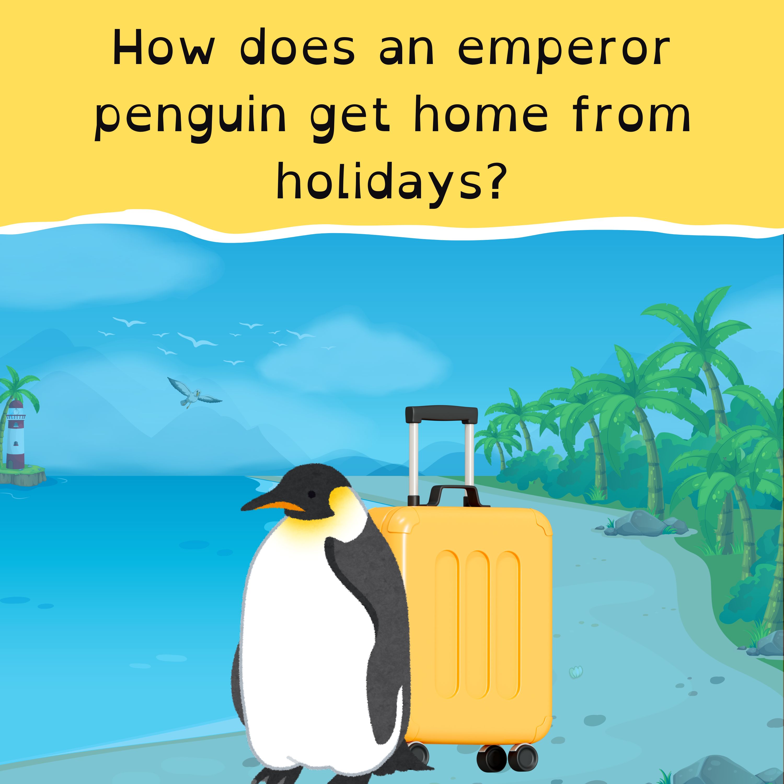 Emperor Penguin’s long way home; Japan’s weasel shoe thief; Lions and Roos into final; and witches vs gladiators.