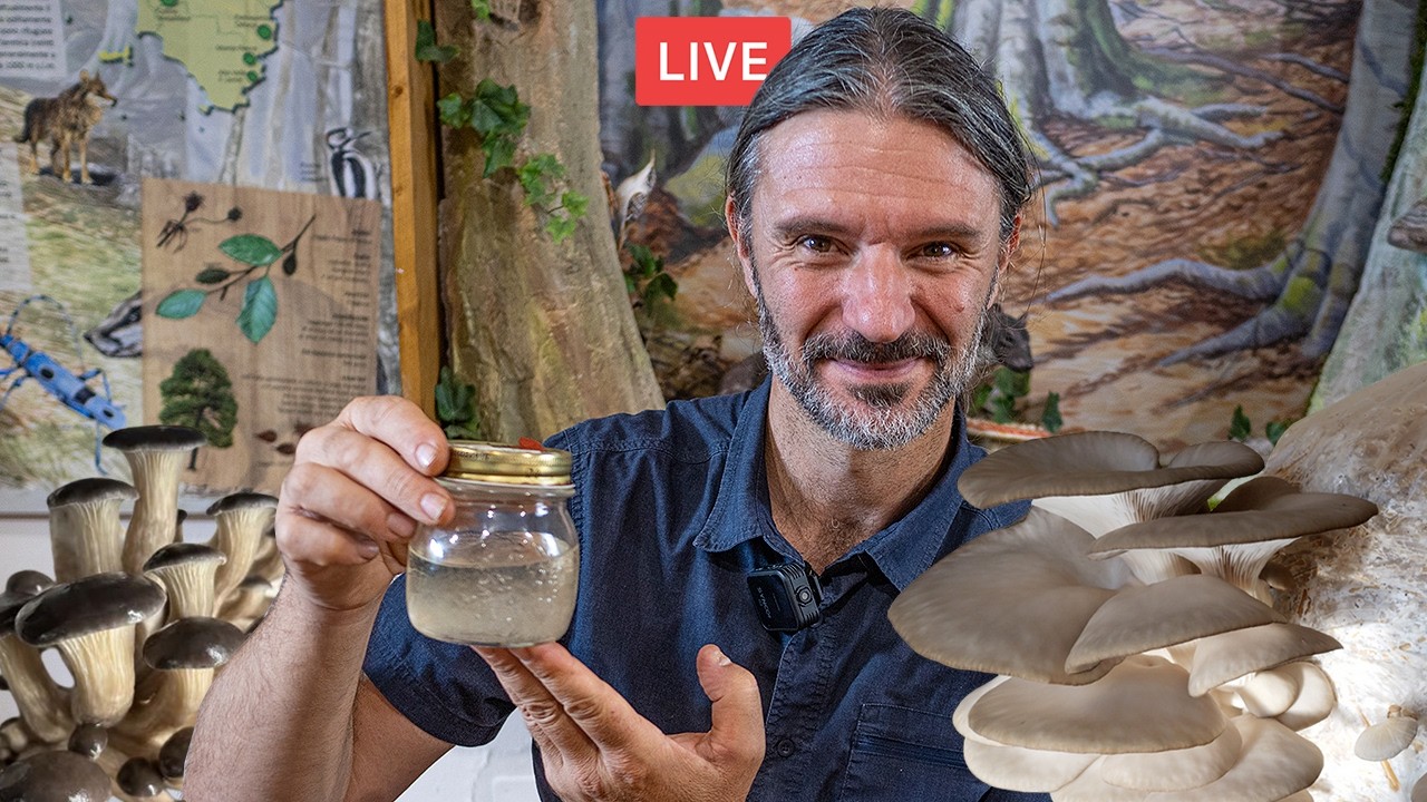 Coltivare funghi. Tutte le potenzialità della micologia