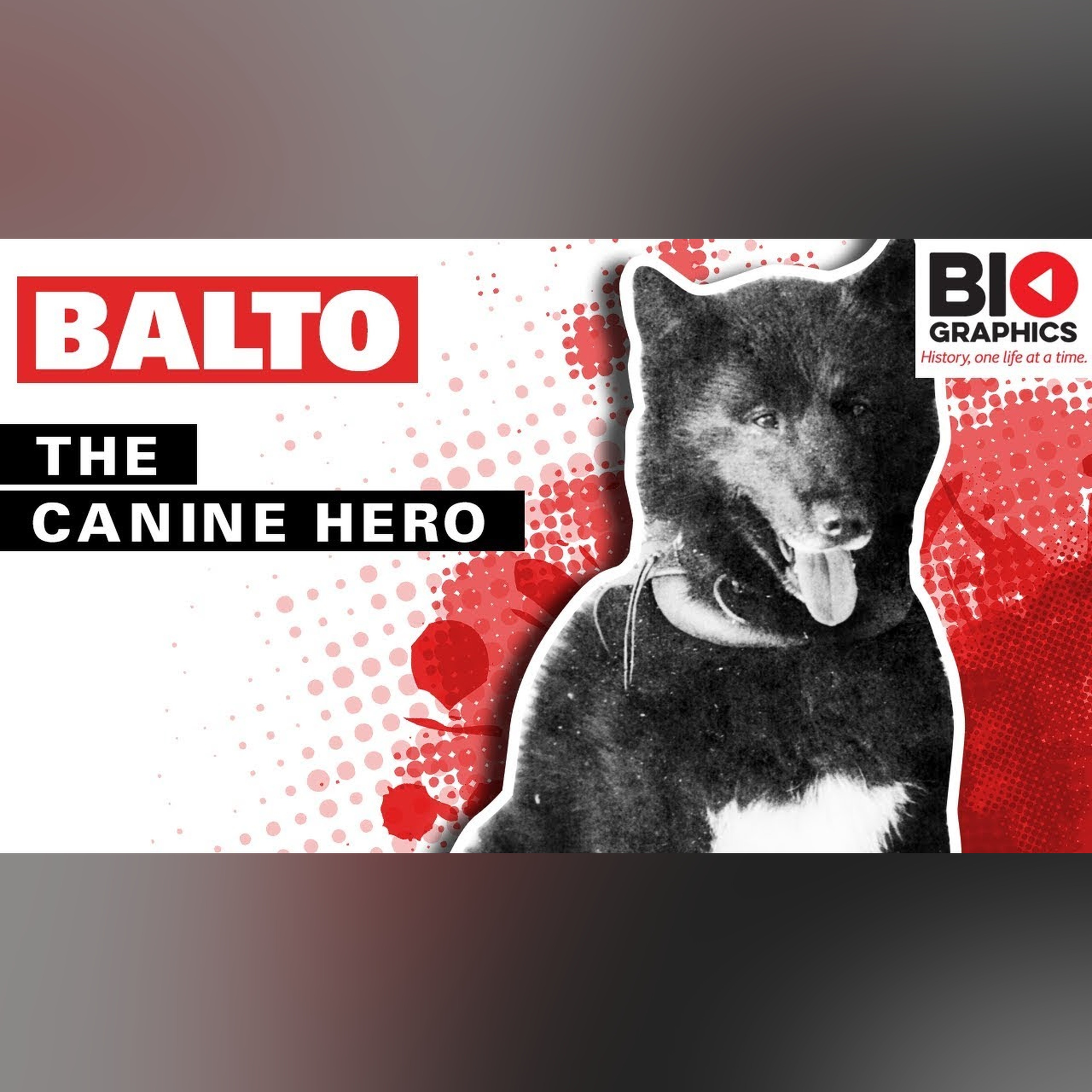 Balto: The Canine Hero episode artwork