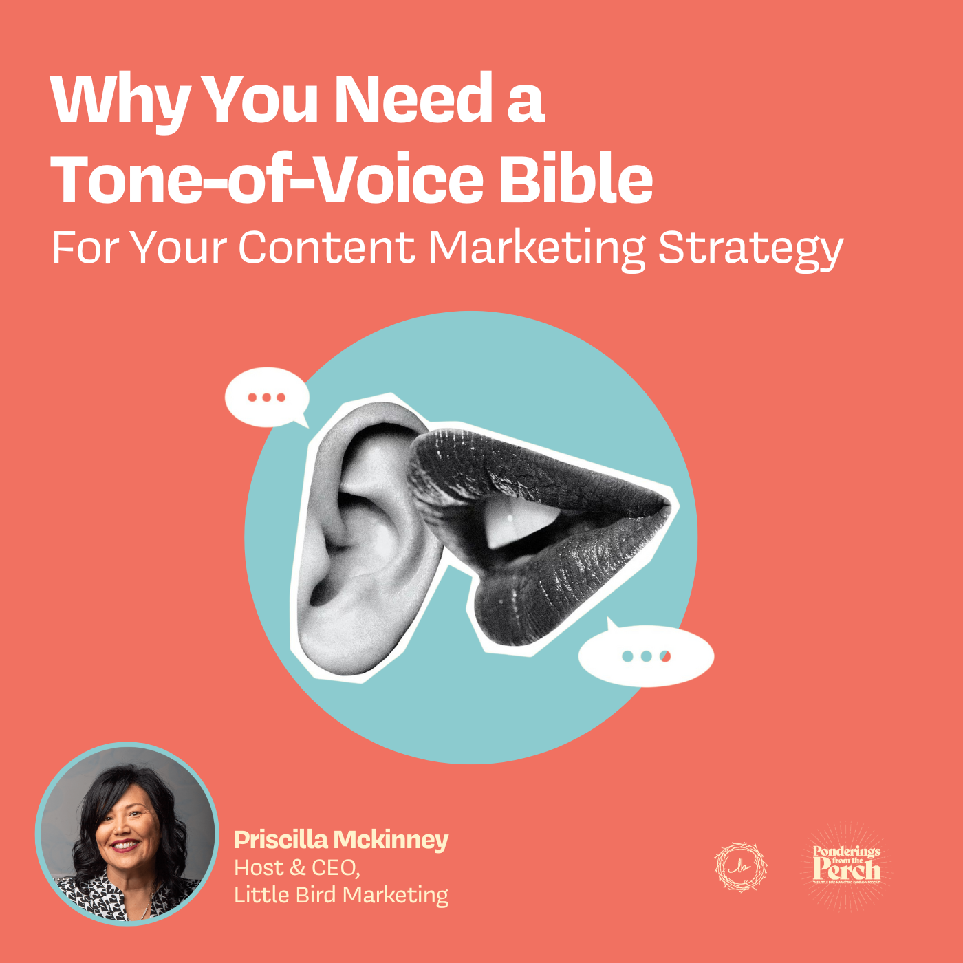 Why You Need a Tone-of-Voice Bible For Your Content Marketing Strategy episode artwork