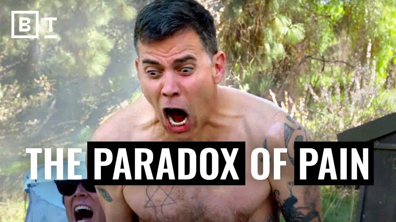 Why Steve-O risked his life over, and over, and over again Why Steve-O risked his life over, and over, and over again