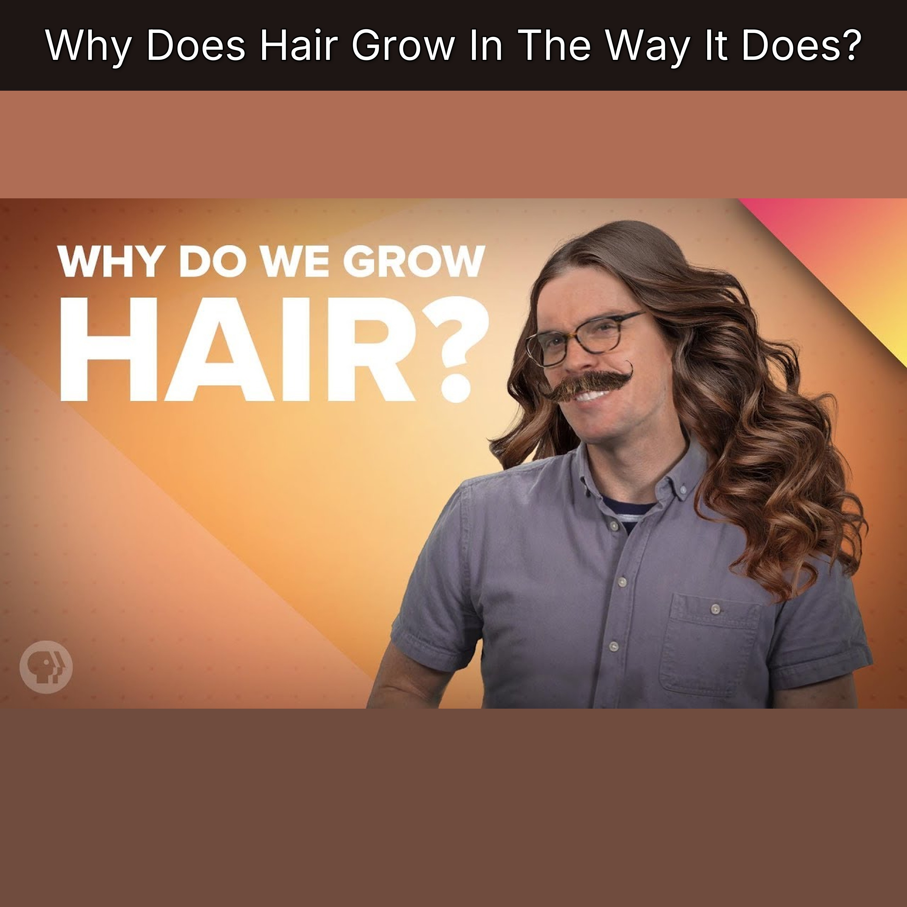 Why Does Hair Grow In The Way It Does? episode artwork