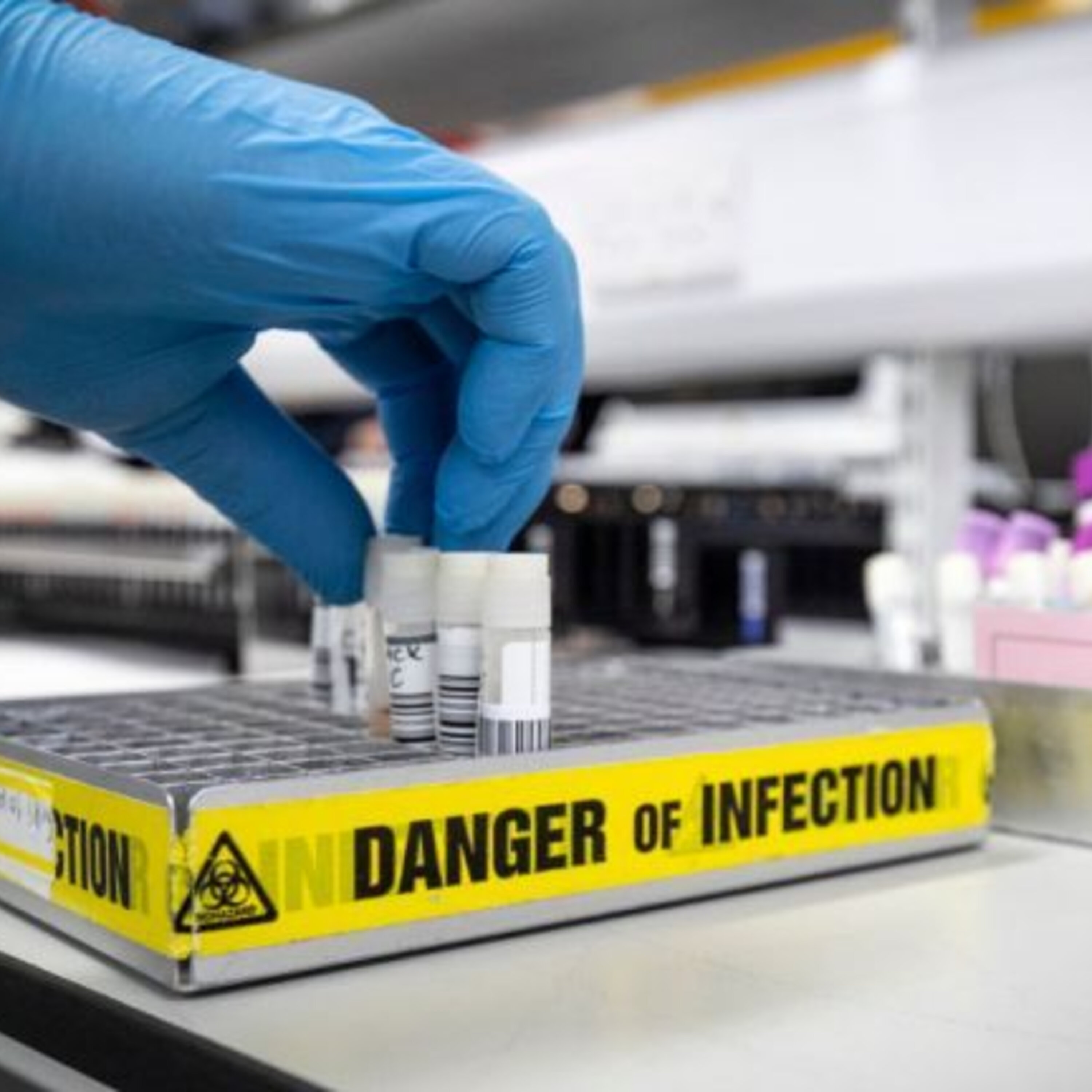 Kelsey Bradshaw has talked to local experts about Coronavirus episode artwork