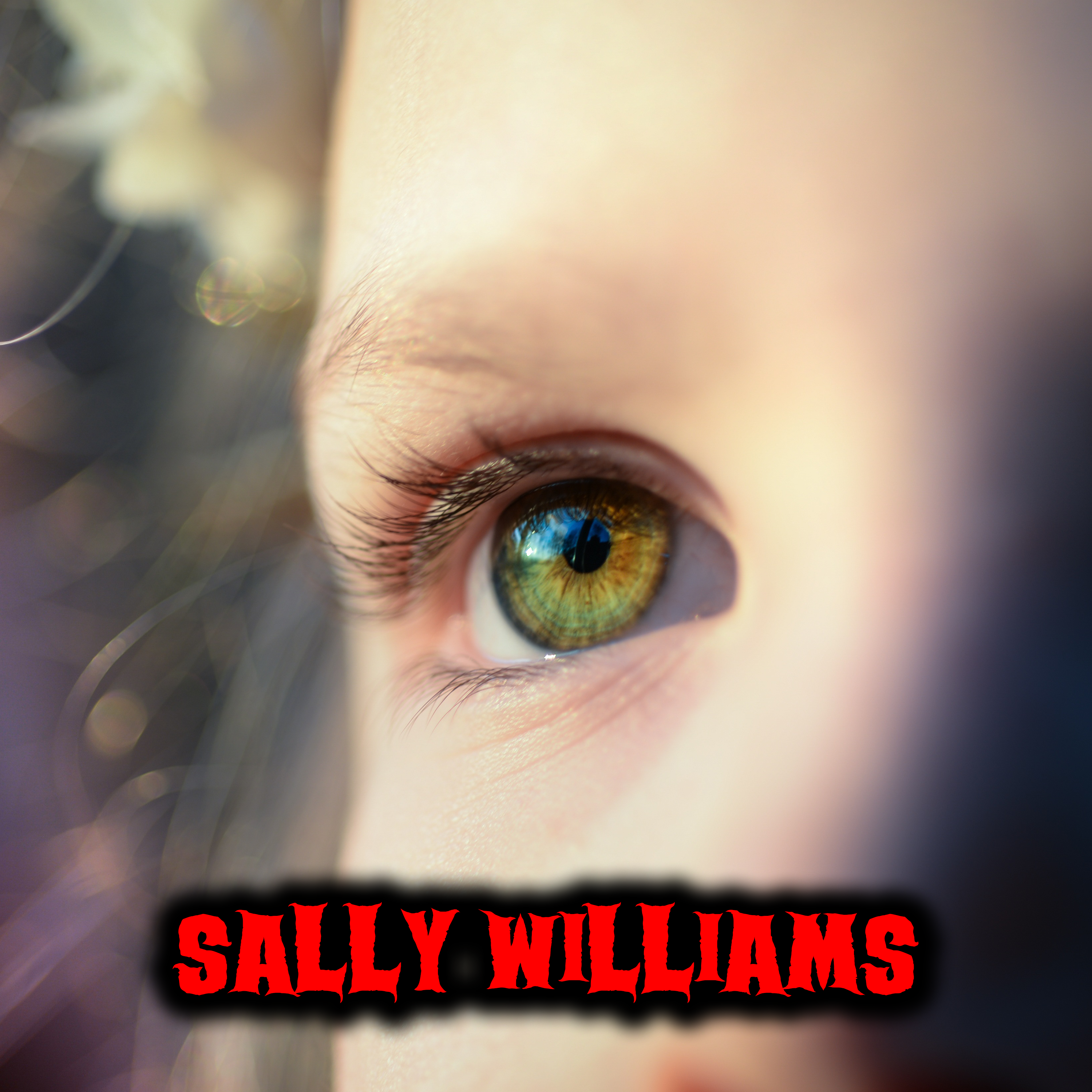 Sally Williams (Play with me) - Creepypasta episode artwork