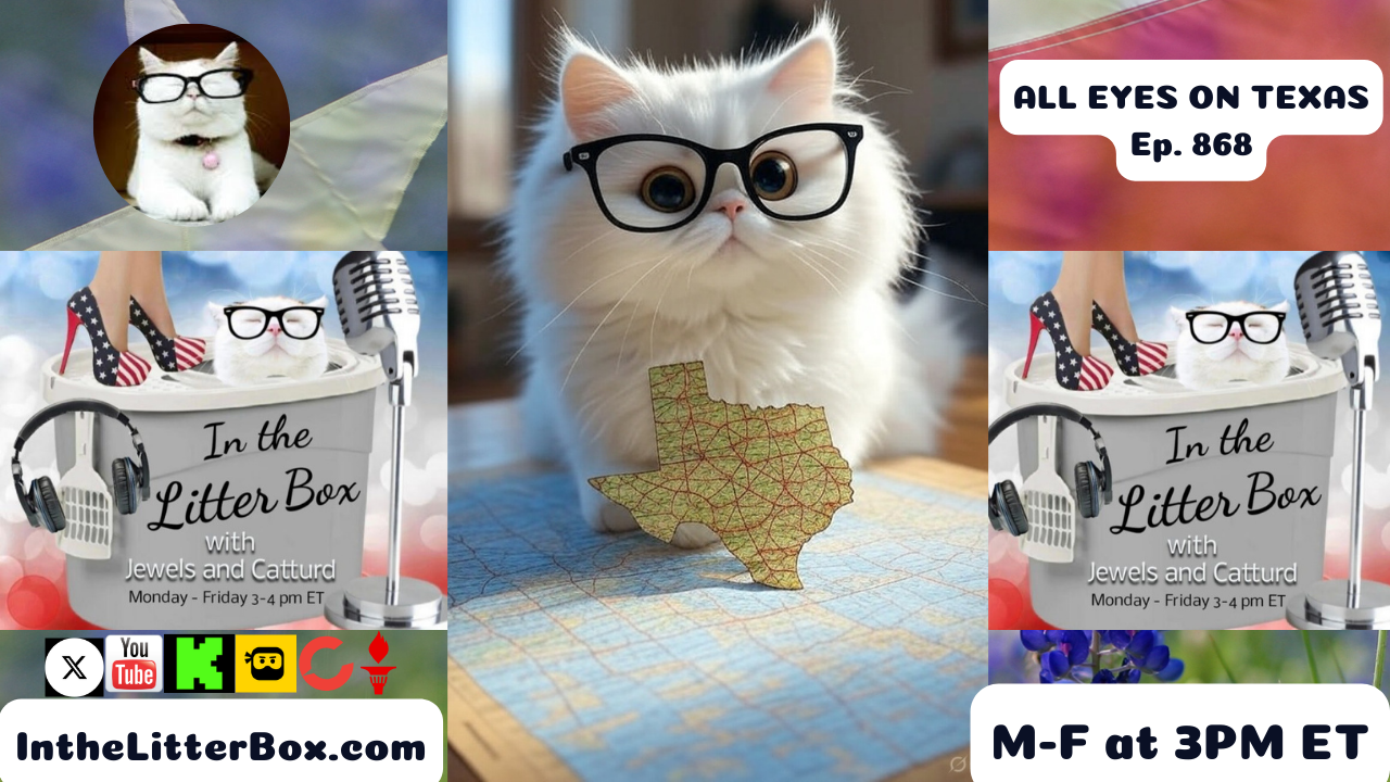 ALL EYES ON TEXAS | In the Litter Box w/ Jewels & Catturd – Ep. 868– 8/21/2025