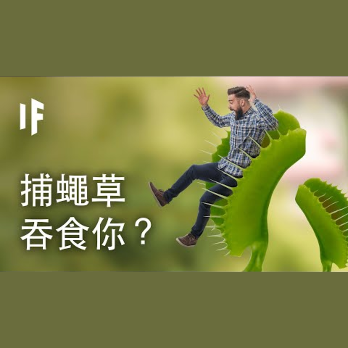 如果你被捕蠅草吞食了？| 大膽科學 episode artwork