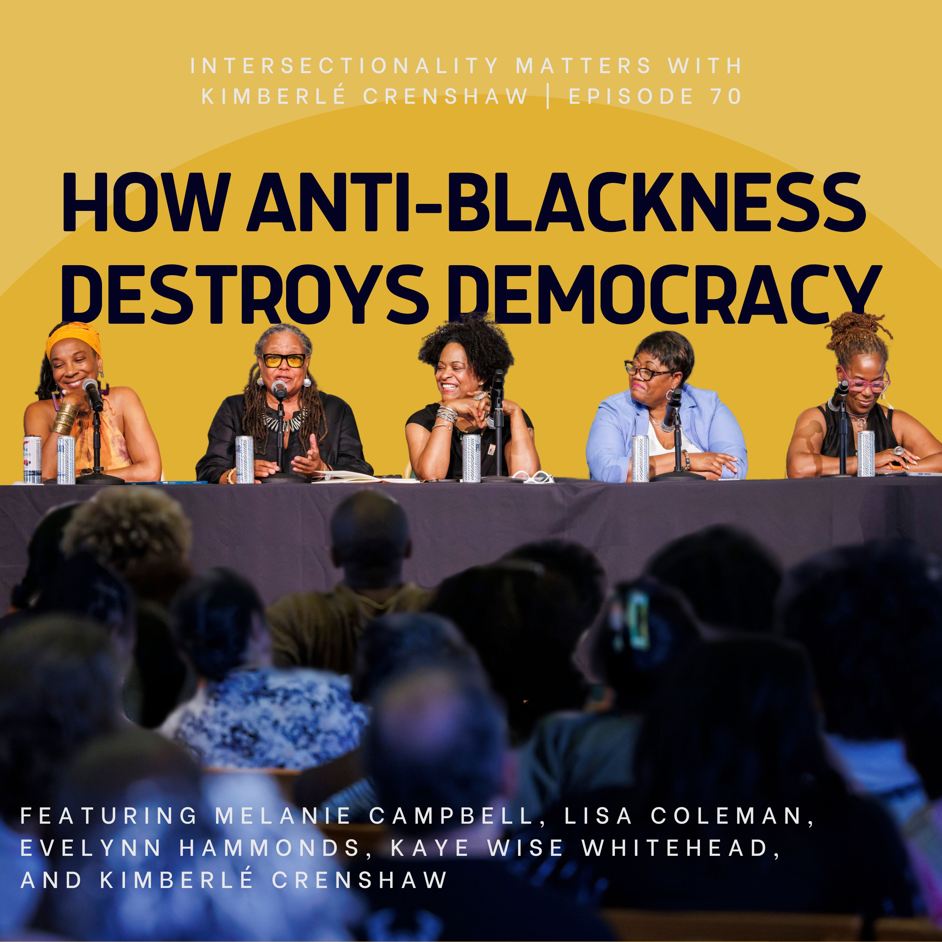 70. How Anti-Blackness Destroys Democracy