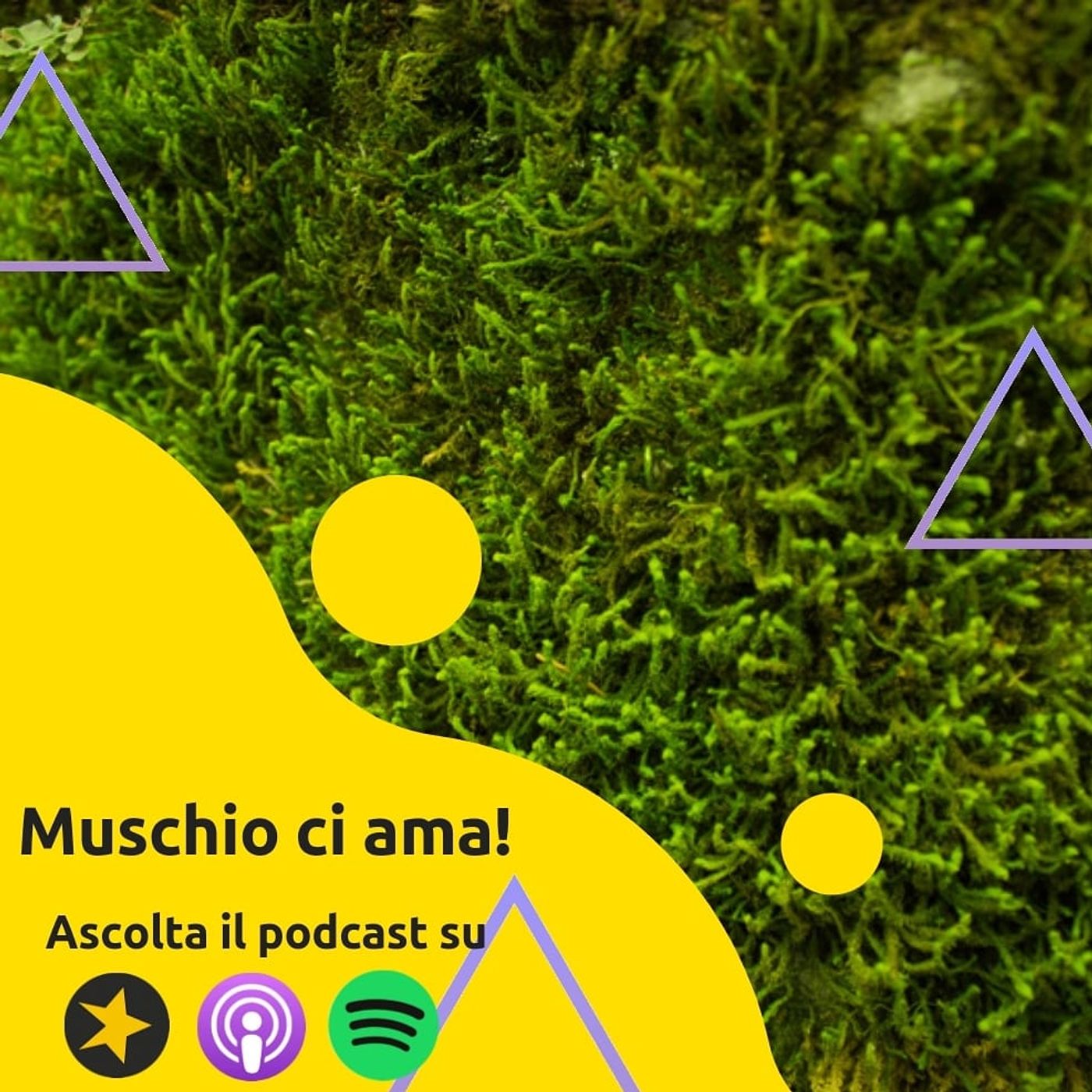 Muschio Selvaggio ci ama!