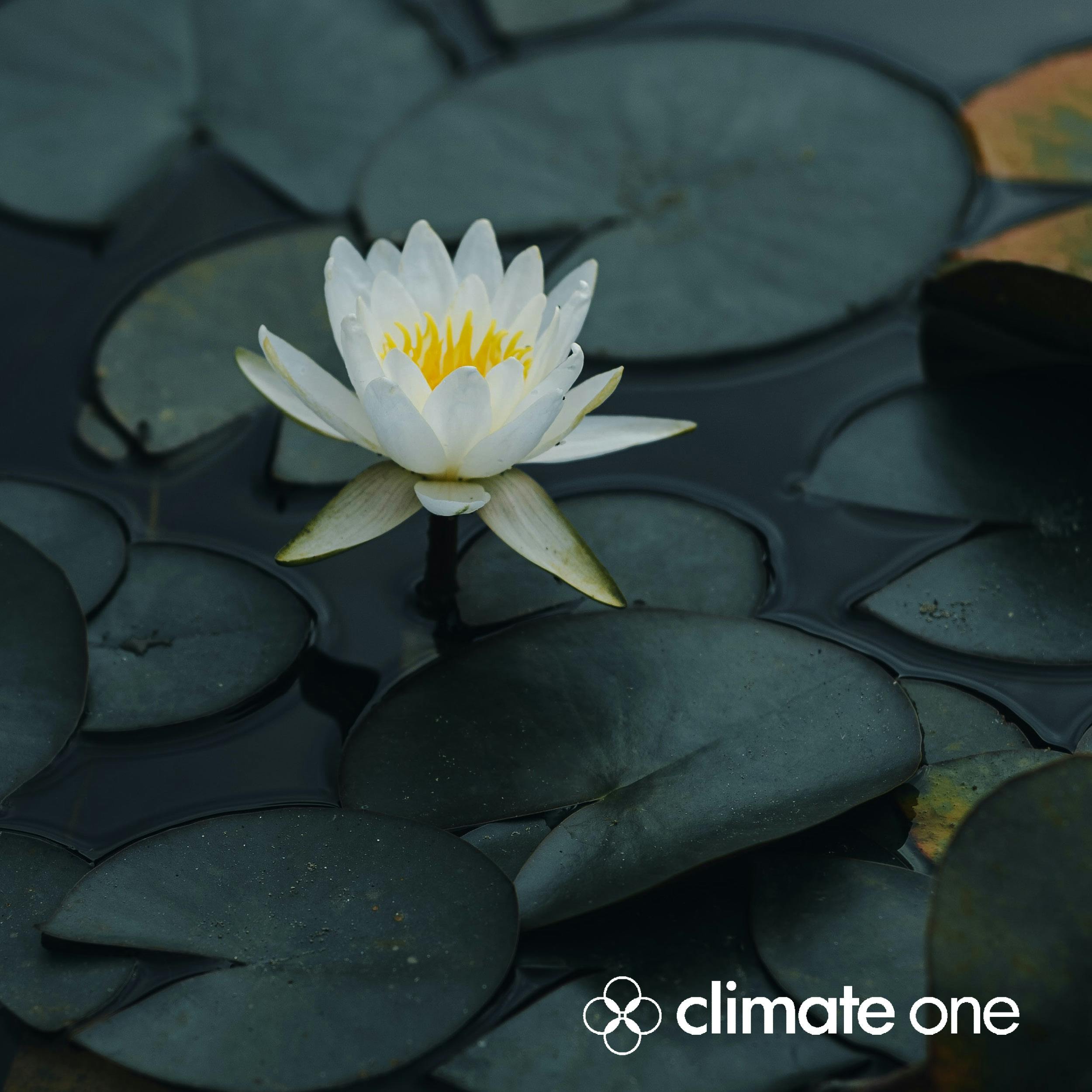 Zen and Coping with Climate