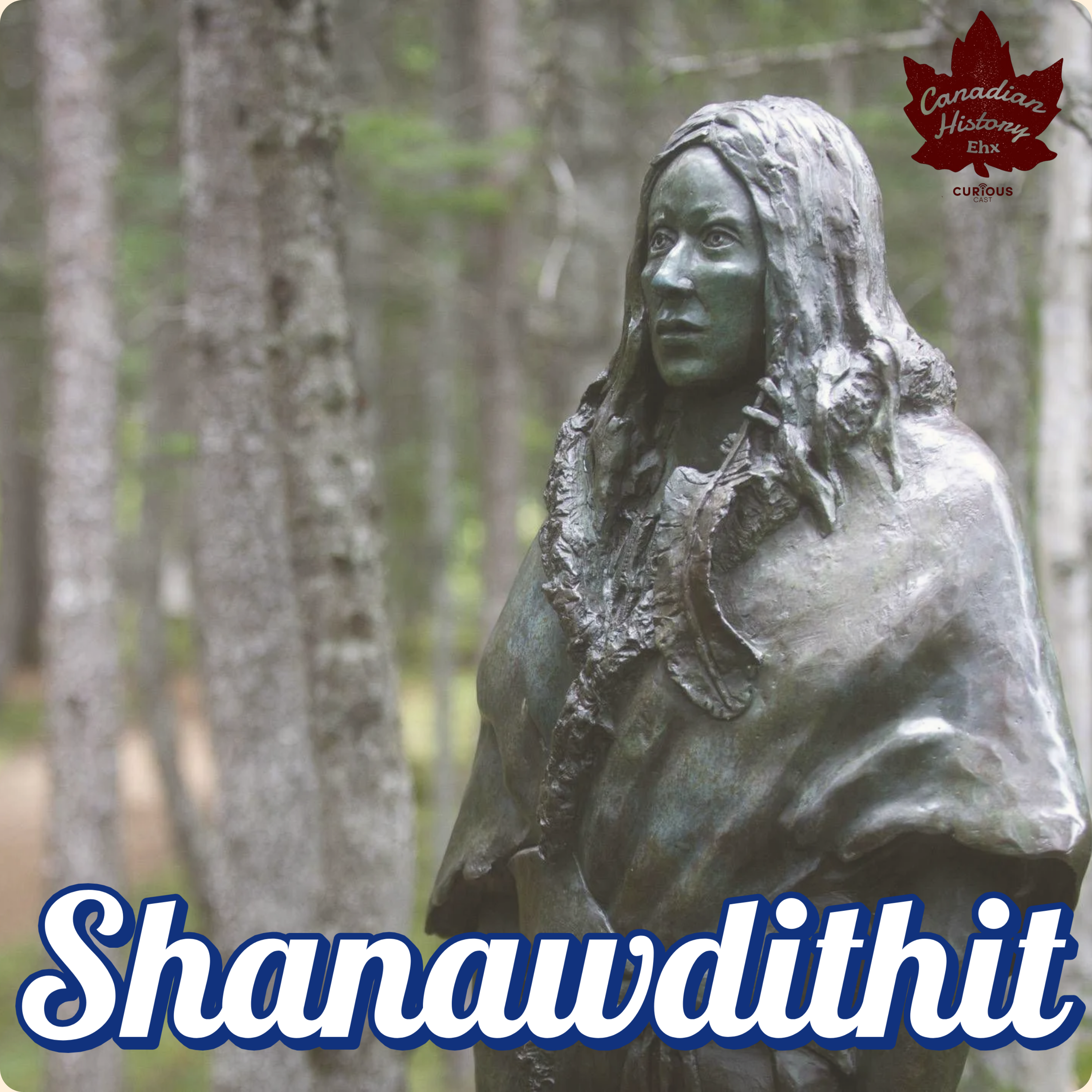 The Last of the Beothuk: Shanawdithit