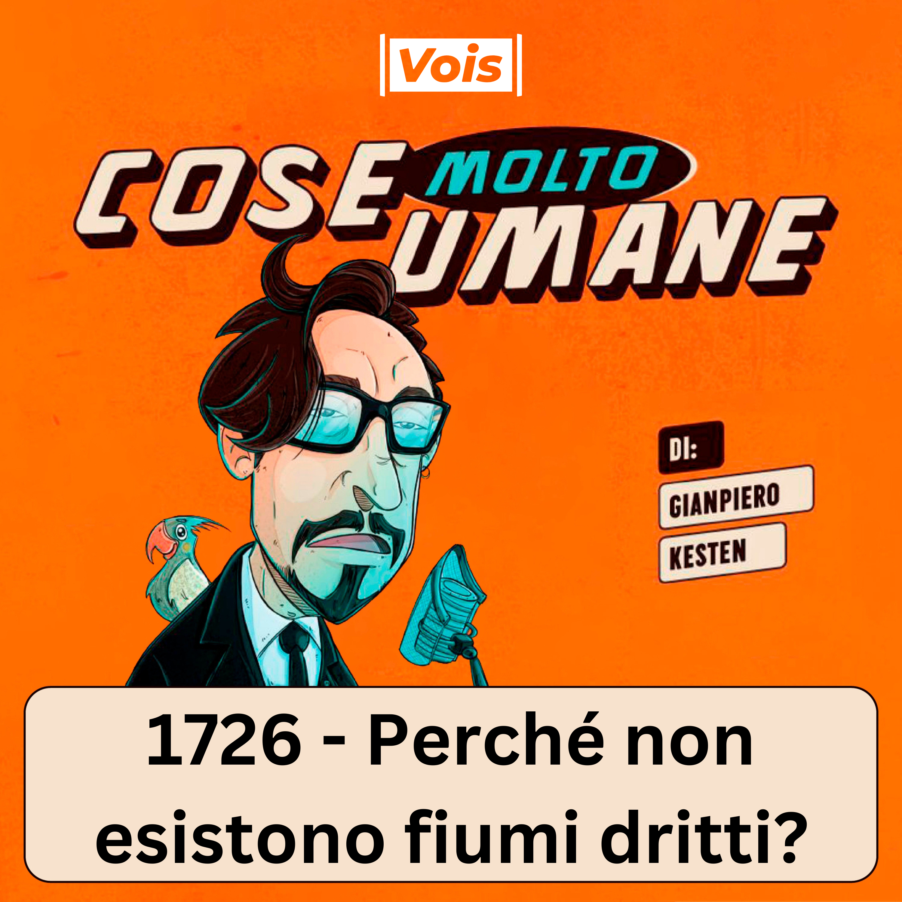 1726 - Perché non esistono fiumi dritti?