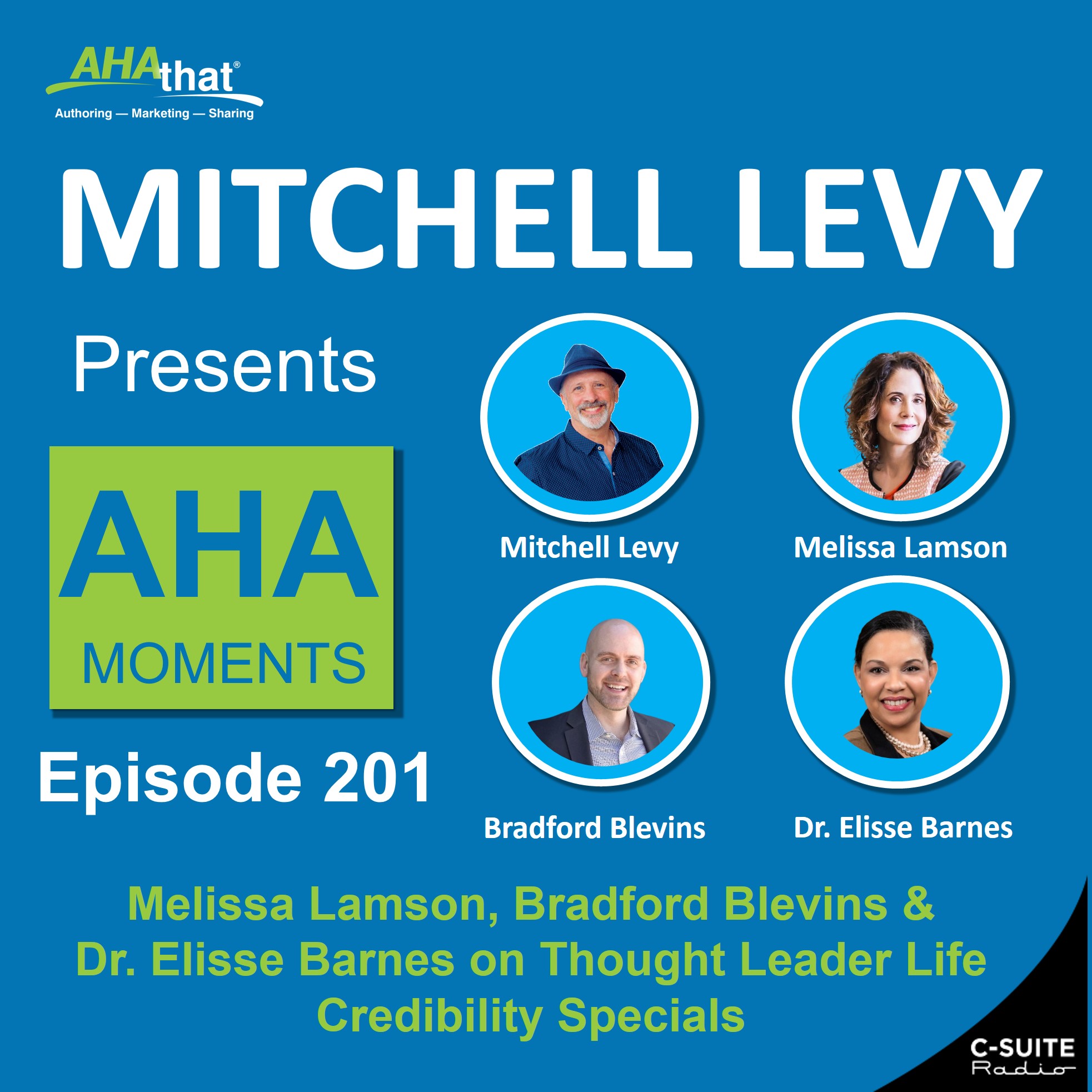 Mitchell Levy Presents AHA Moments