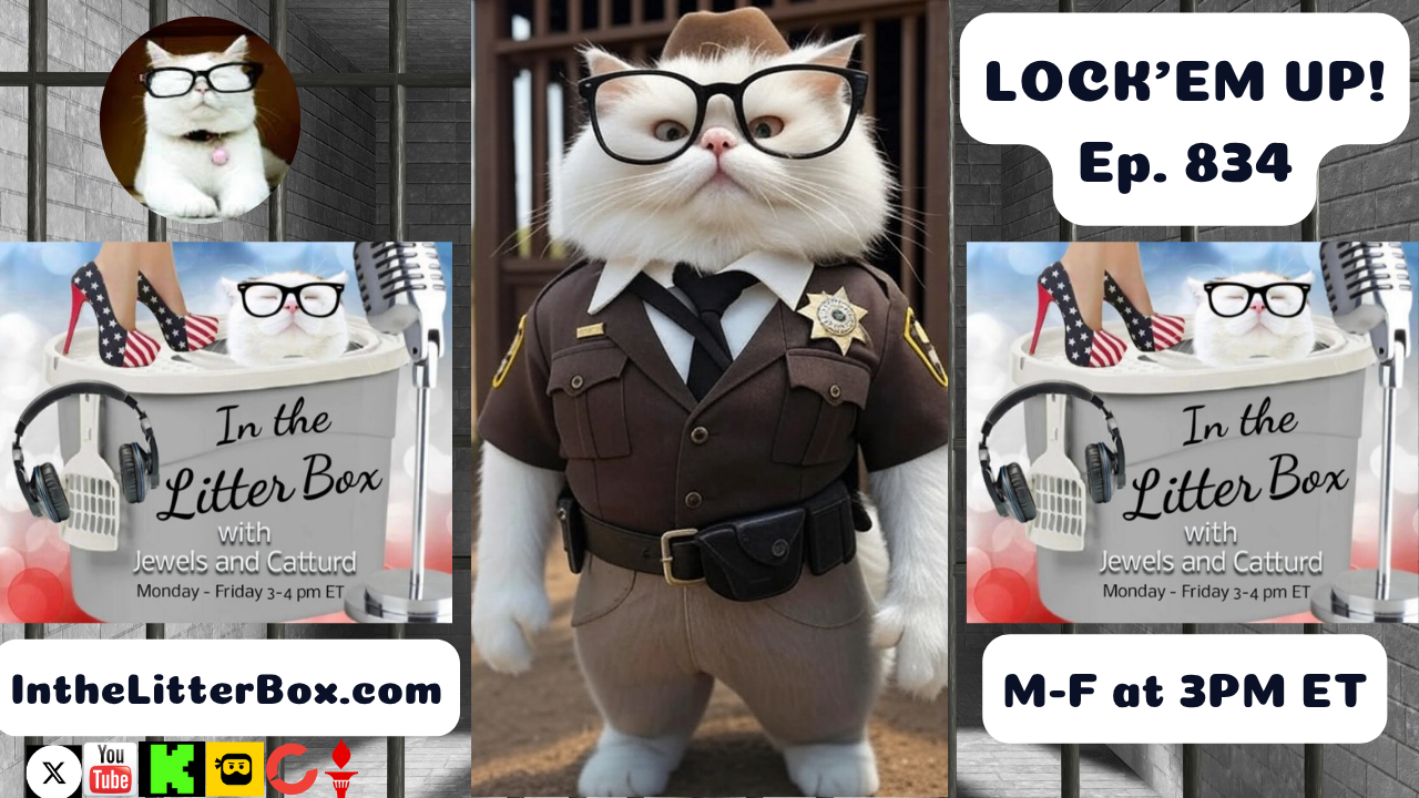 LOCK'EM UP | In the Litter Box w/ Jewels & Catturd – Ep. 834 – 7/2/2025