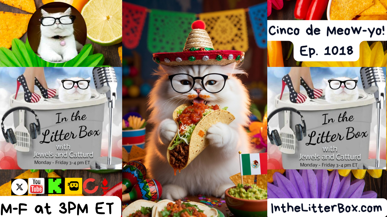 Cinco de Meow-yo | In the Litter Box w/ Jewels Jones & Catturd – Ep. 1018 5/5/2026