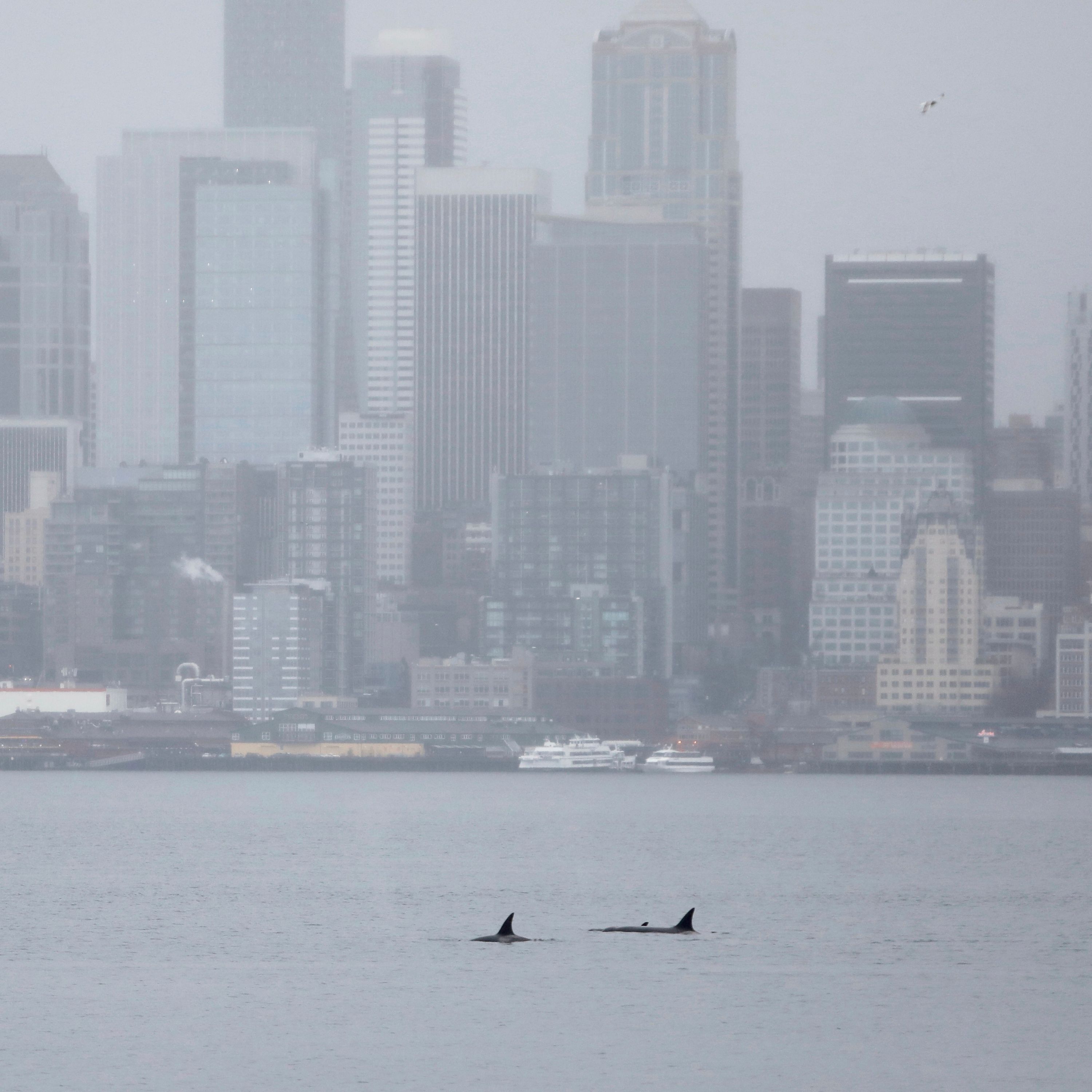 WalletHub: Inflation Hits Seattle, Boston, Chicago Hardest