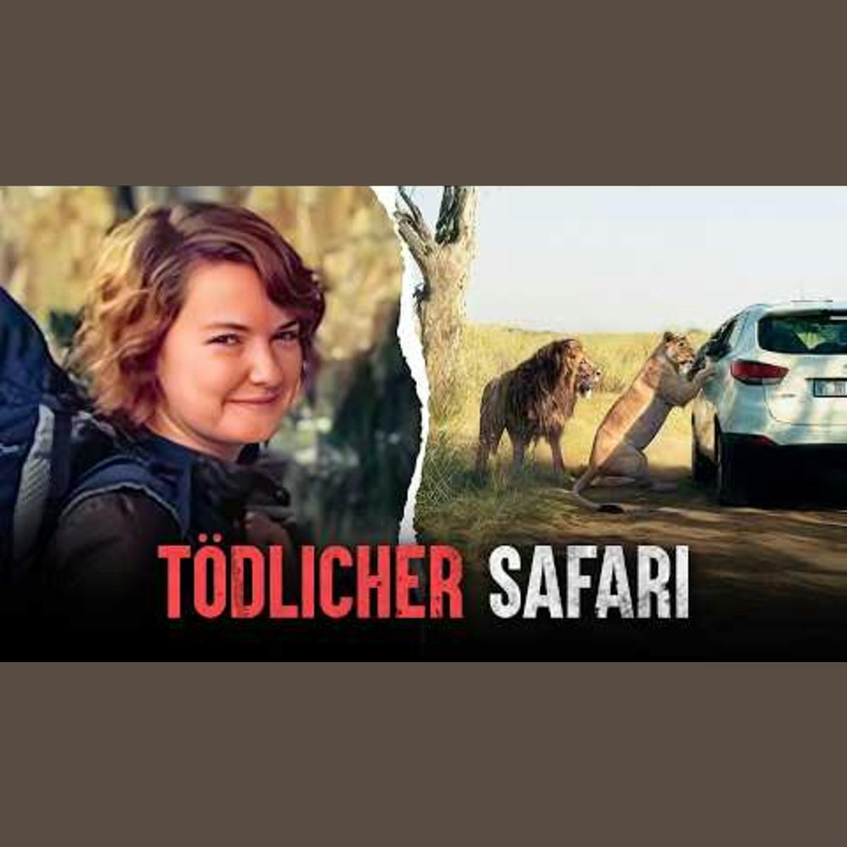 Menschen gegen Wildkatzen: Die furchterregendsten Löwenangriffe, die je gefilmt wurden Menschen gegen Wildkatzen: Die furchterregendsten Löwenangriffe, die je gefilmt wurden