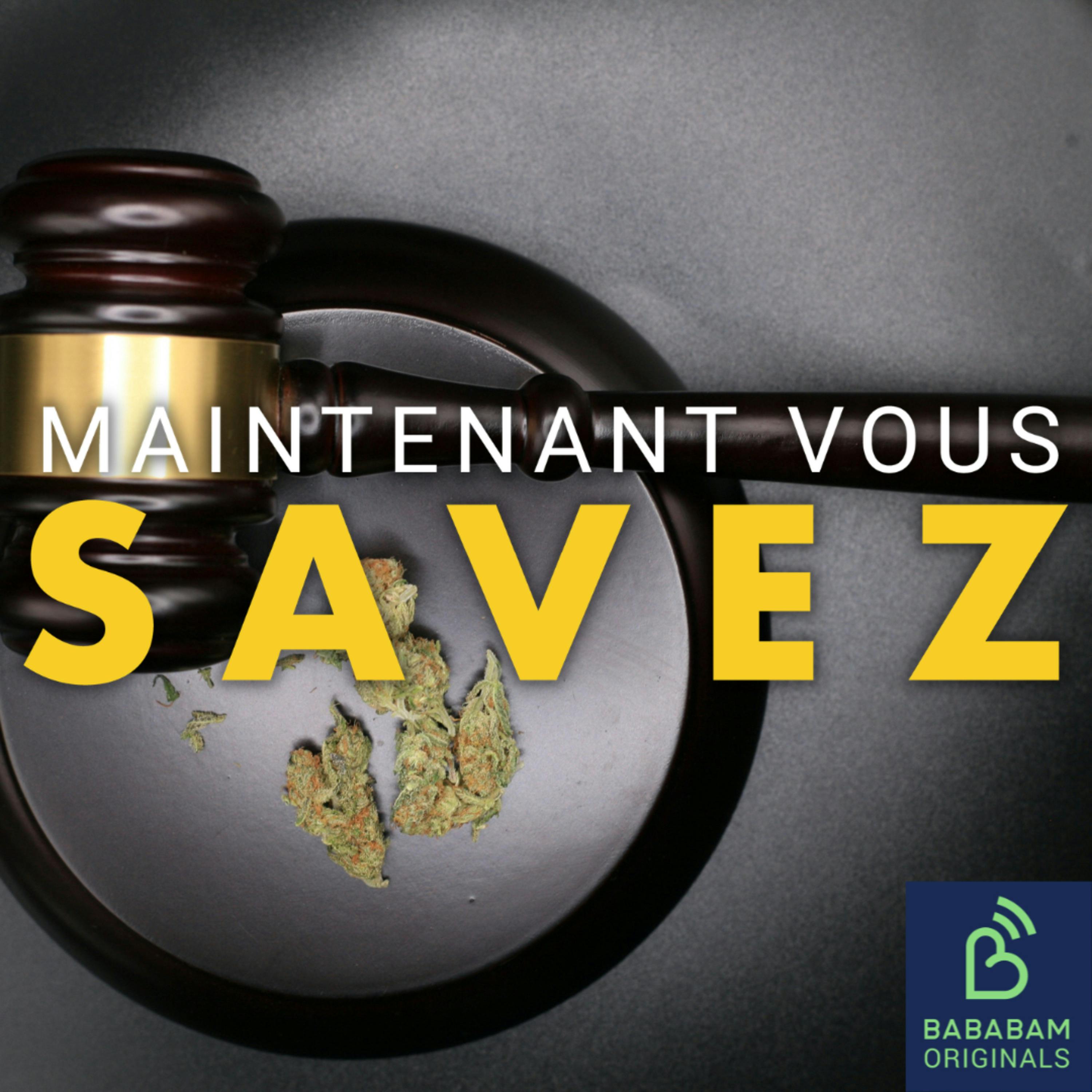 La légalisation du cannabis pourrait-elle vraiment mettre fin au narcotrafic ? La légalisation du cannabis pourrait-elle vraiment mettre fin au narcotrafic ?